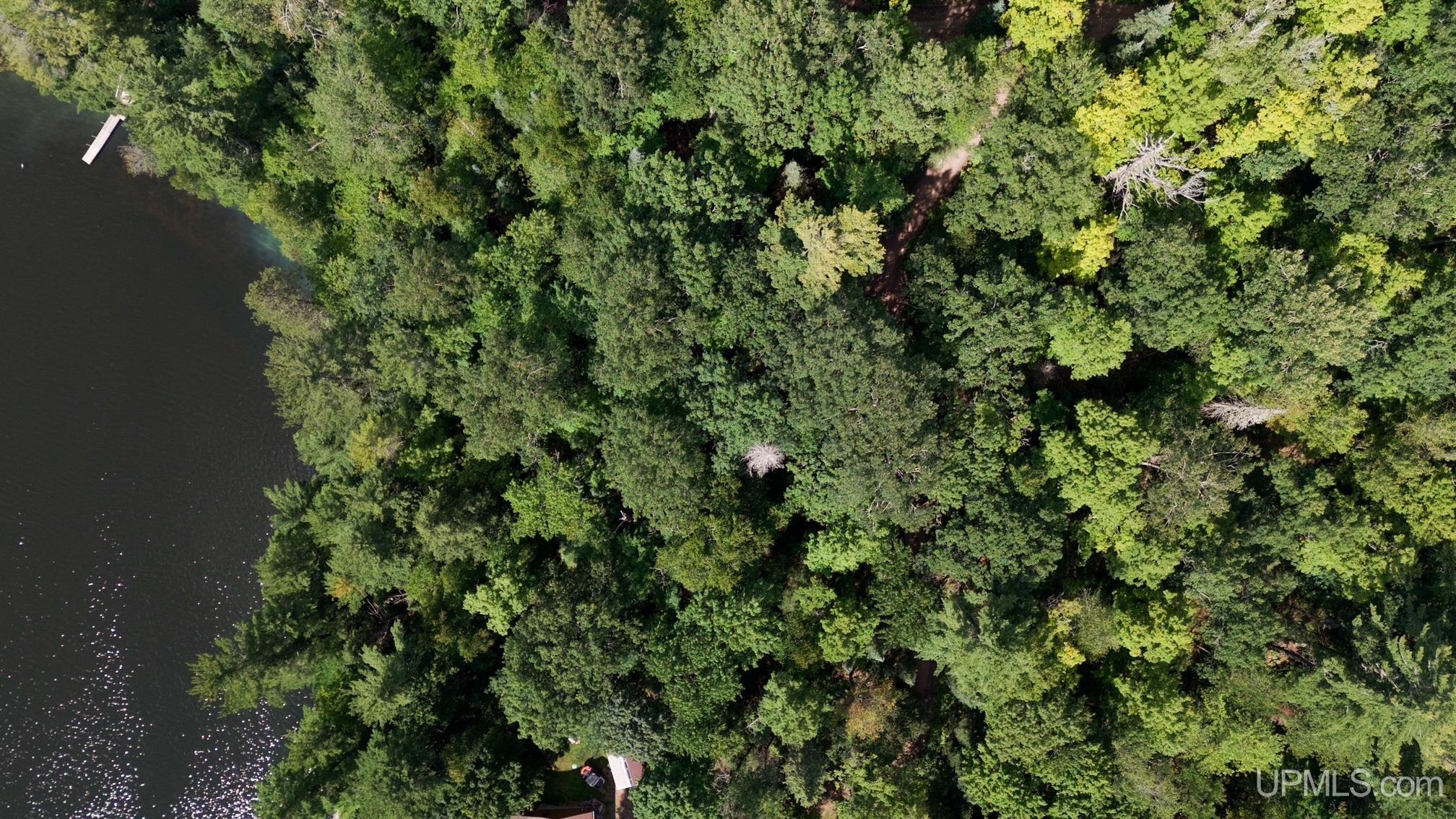 Homes for sale in Iron River, MI | Tbd W Paint Lake Rd, Iron River, MI 49935 | MLS# 50186255