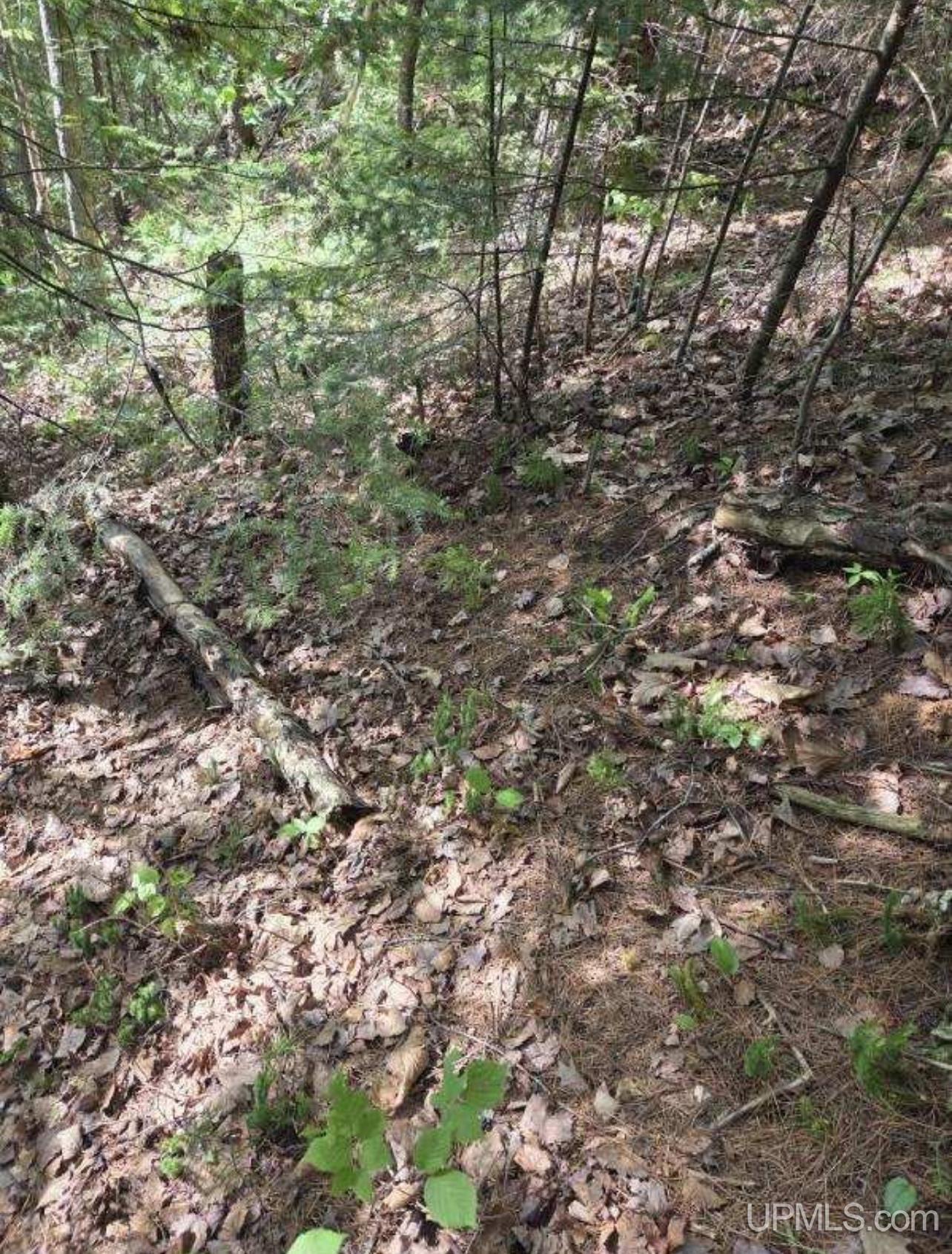 Homes for sale in Iron River, MI | Tbd W Paint Lake Rd, Iron River, MI 49935 | MLS# 50186255