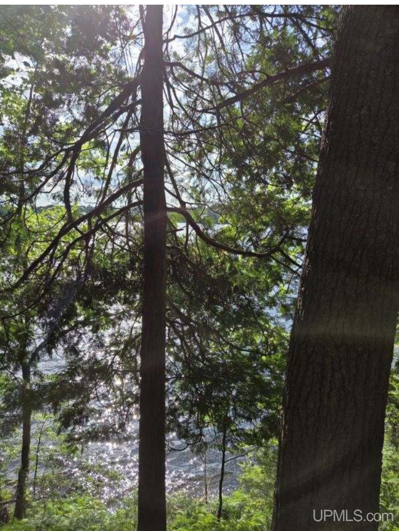 Homes for sale in Iron River, MI | Tbd W Paint Lake Rd, Iron River, MI 49935 | MLS# 50186255