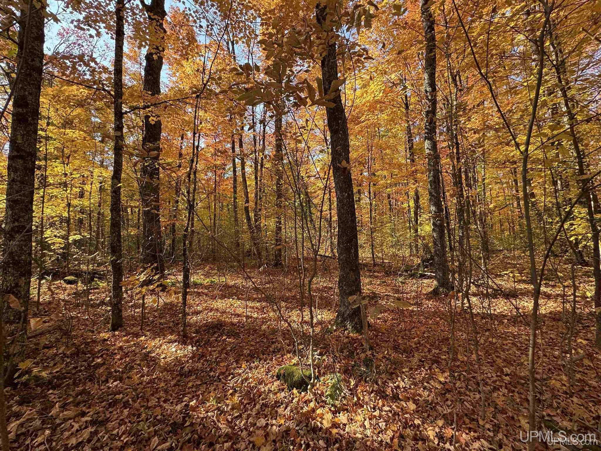 Homes for sale in Amasa, MI | Tbd Fishing Site #2 Rd, Amasa, MI 49903 | MLS# 50186408