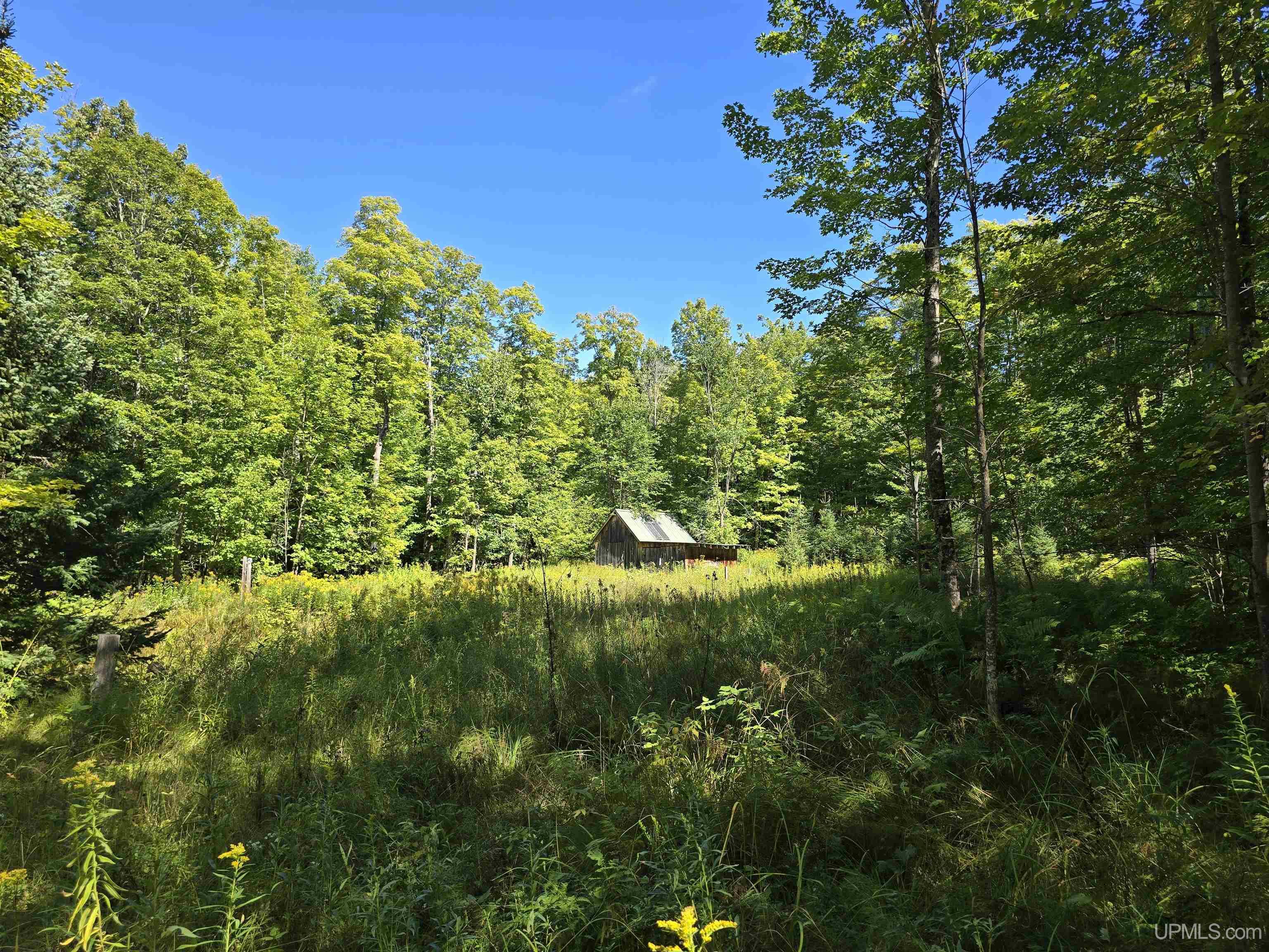 Homes for sale in Nisula, MI | 16454 Blue Rd, Nisula, MI 49952 | MLS# 50186540