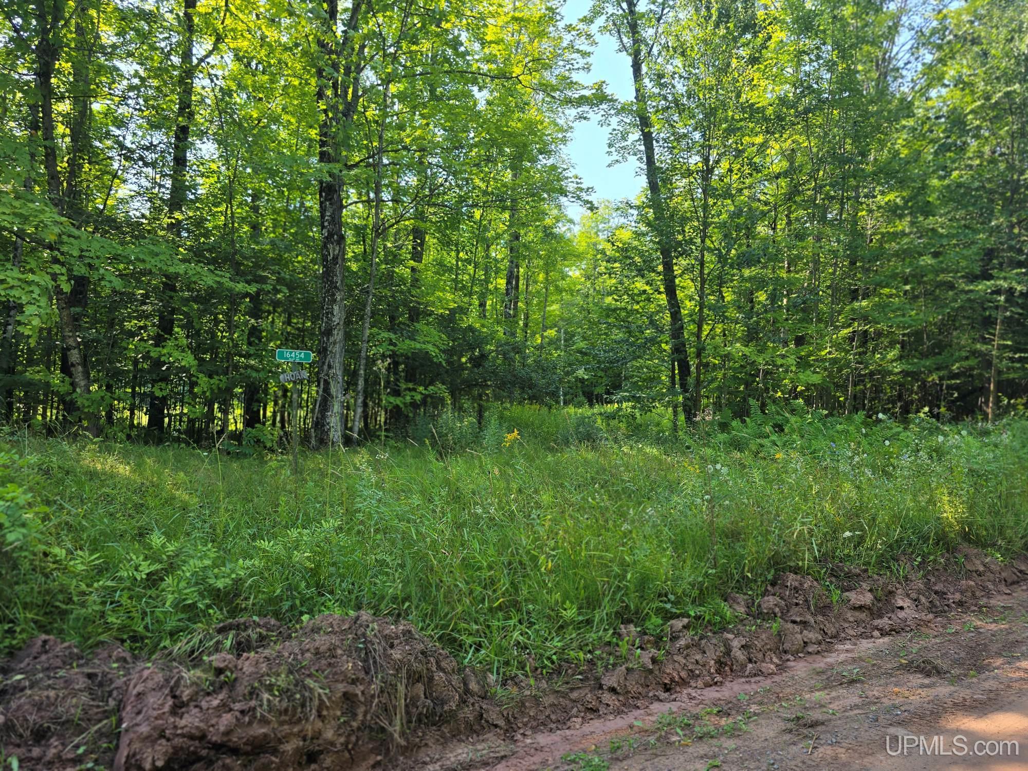 Homes for sale in Nisula, MI | 16454 Blue Rd, Nisula, MI 49952 | MLS# 50186540