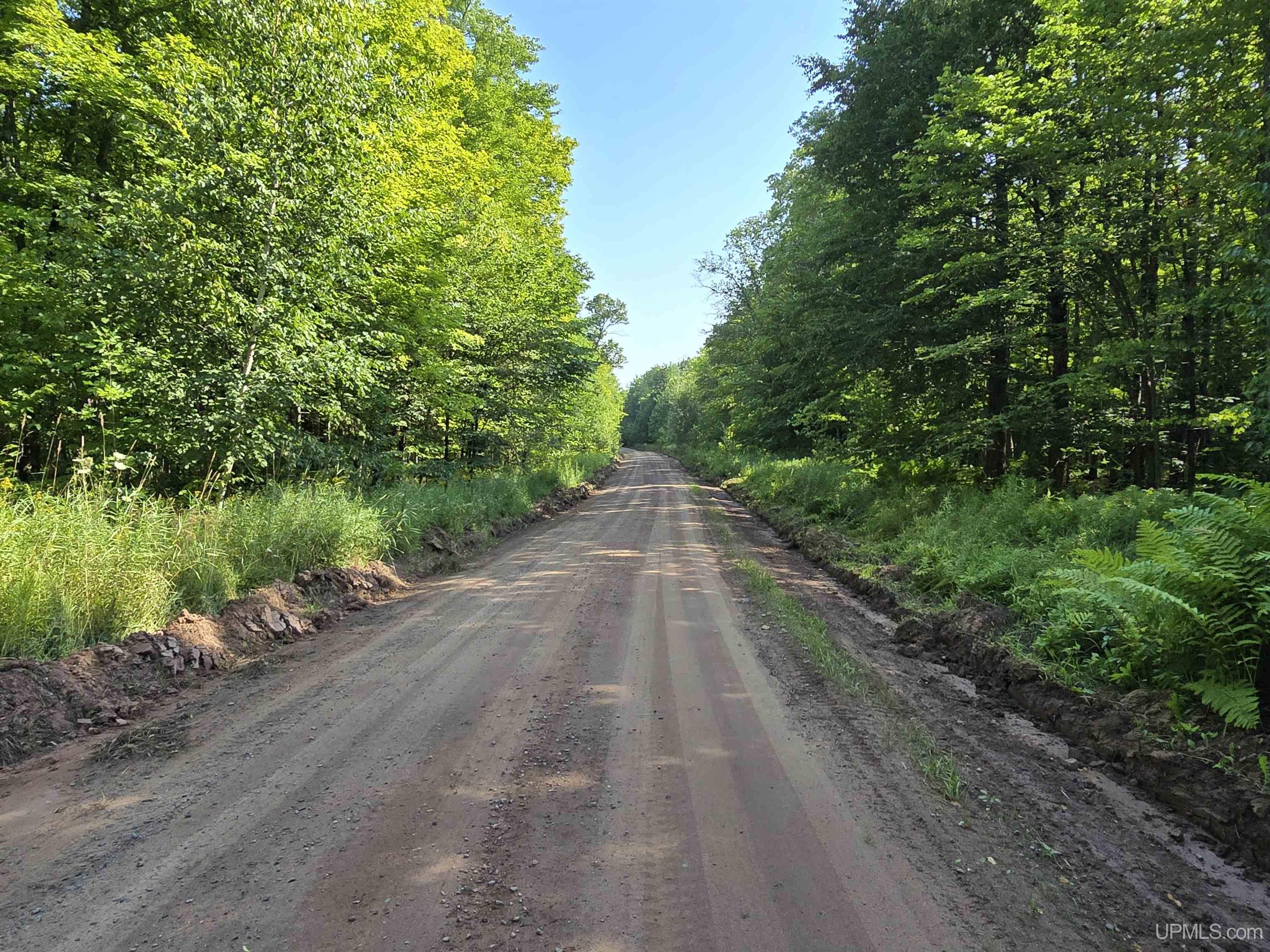 Homes for sale in Nisula, MI | 16454 Blue Rd, Nisula, MI 49952 | MLS# 50186540