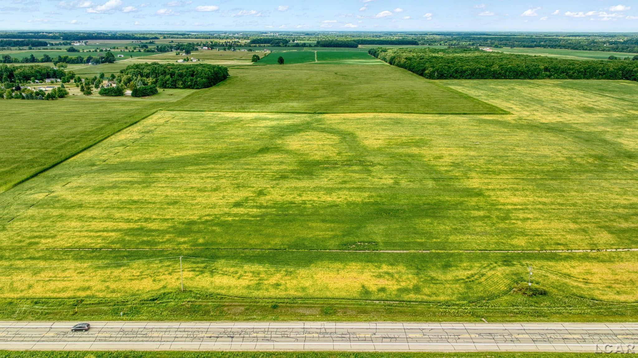 Homes for sale in Adrian, MI | 5000 Blk S Adrian Hwy, Adrian, MI 49221 | MLS# 50186542