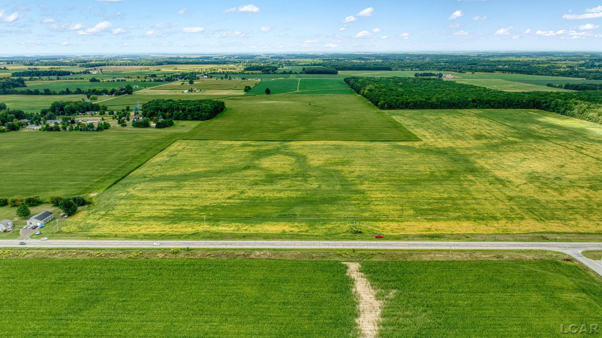 Homes for sale in Adrian, MI | 5000 Blk S Adrian Hwy, Adrian, MI 49221 | MLS# 50186542