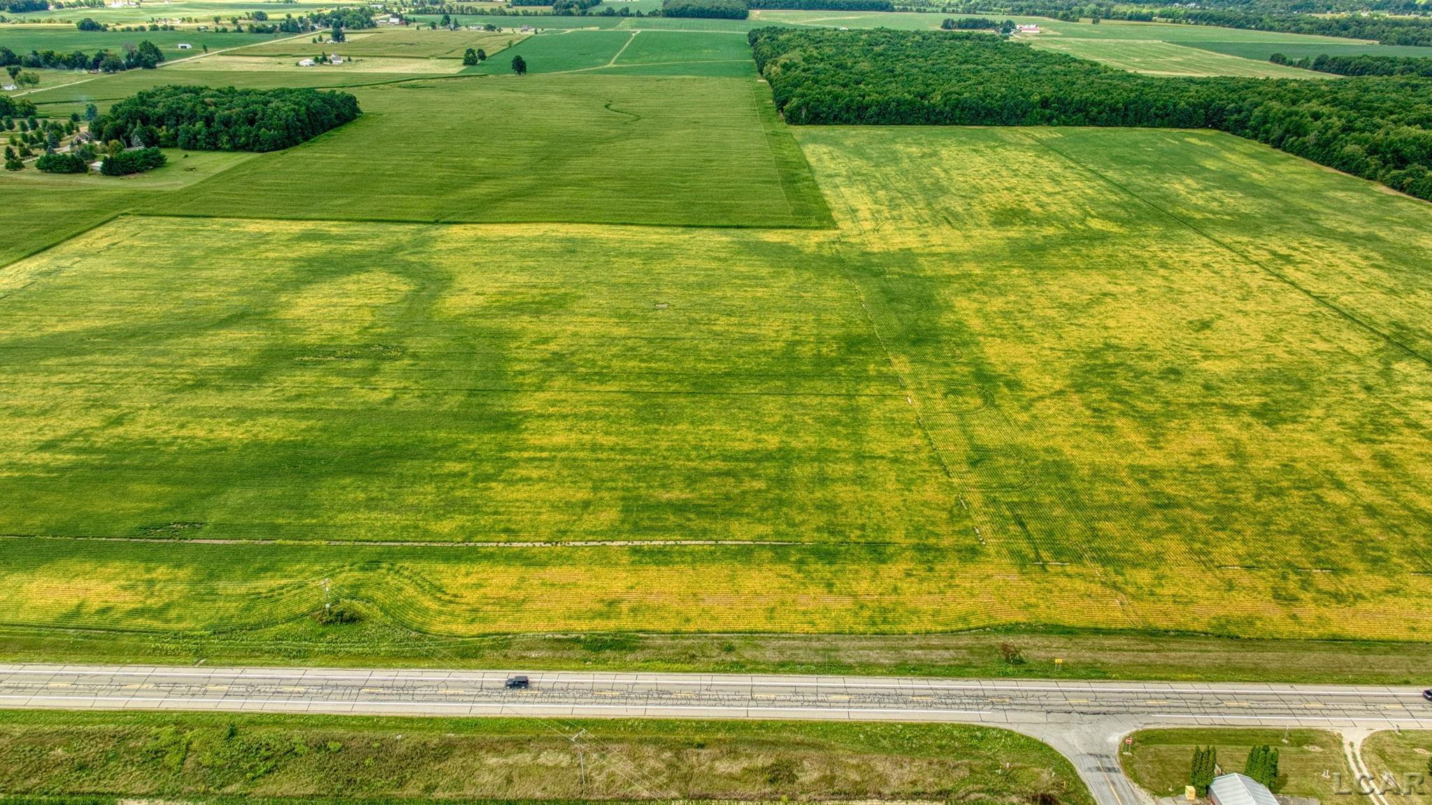 Homes for sale in Adrian, MI | 5000 Blk S Adrian Hwy, Adrian, MI 49221 | MLS# 50186542