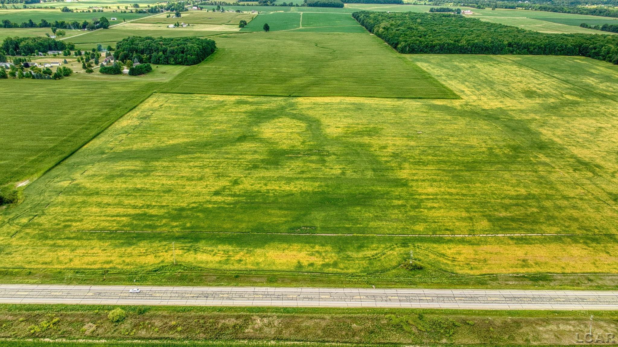 Homes for sale in Adrian, MI | 5000 Blk S Adrian Hwy, Adrian, MI 49221 | MLS# 50186542