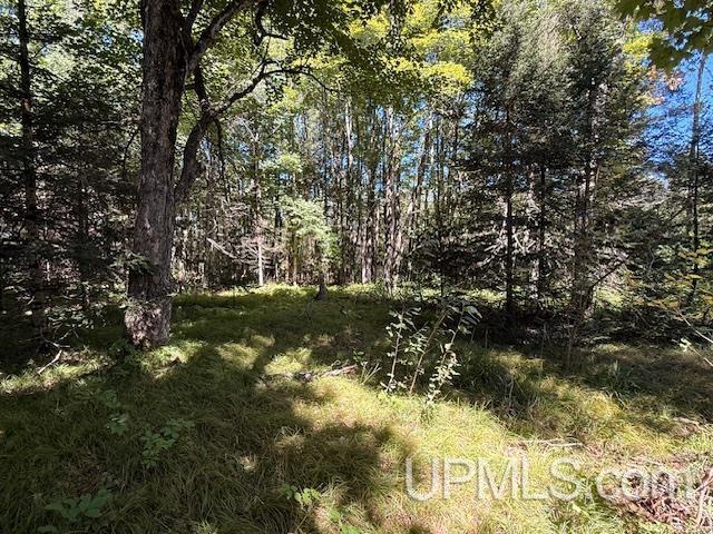 Homes for sale in Florence T Wi, WI | 6304 Duck Lake Rd, Florence T Wi, WI 54121 | MLS# 50186730