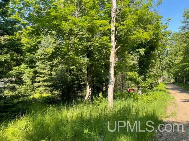 Homes for sale in Florence T Wi, WI | 6304 Duck Lake Rd, Florence T Wi, WI 54121 | MLS# 50186730