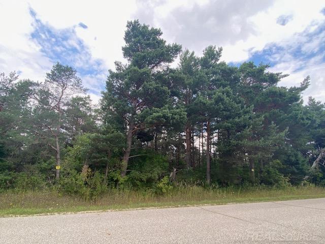 Homes for sale in Mancelona, MI | 000 Elder Rd, Mancelona, MI 49659 | MLS# 50186848