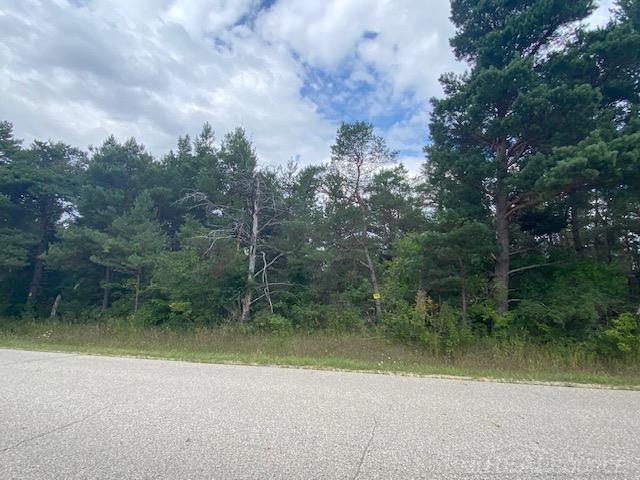 Homes for sale in Mancelona, MI | 000 Elder Rd, Mancelona, MI 49659 | MLS# 50186848