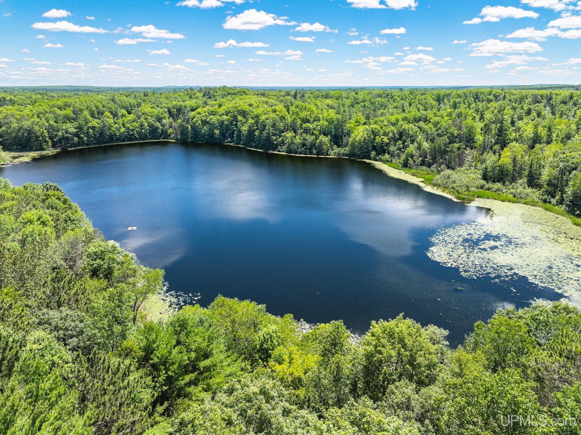 Homes for sale in Florence T Wi, WI | 2067 Town Road L Road, Florence T Wi, WI 54121 | MLS# 50187077