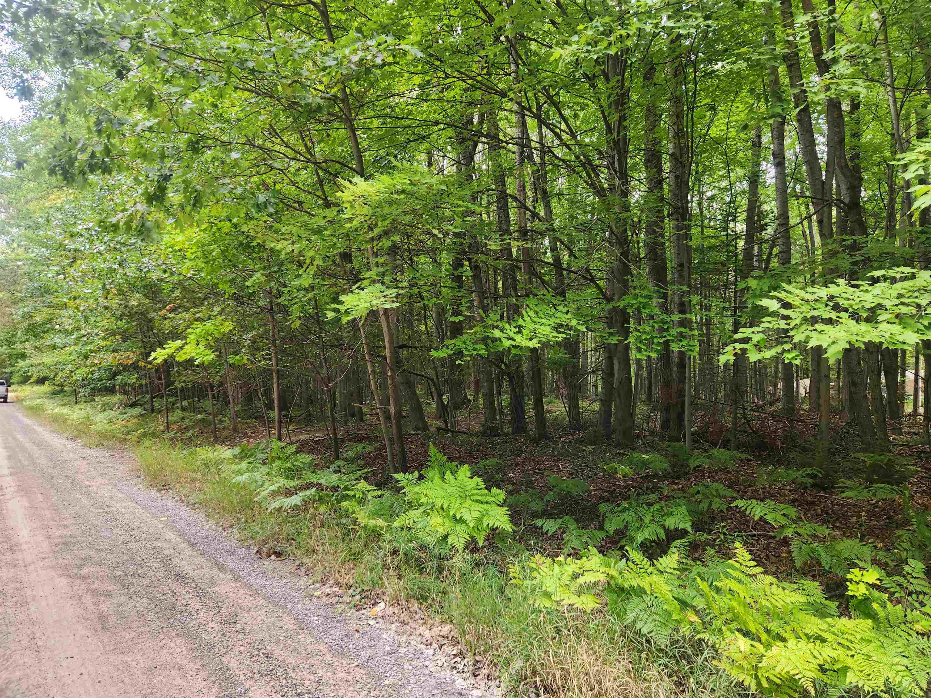 Homes for sale in Lake, MI | Lots 239, 240, 241 Havenwood Dr, Lake, MI 48632 | MLS# 50187432