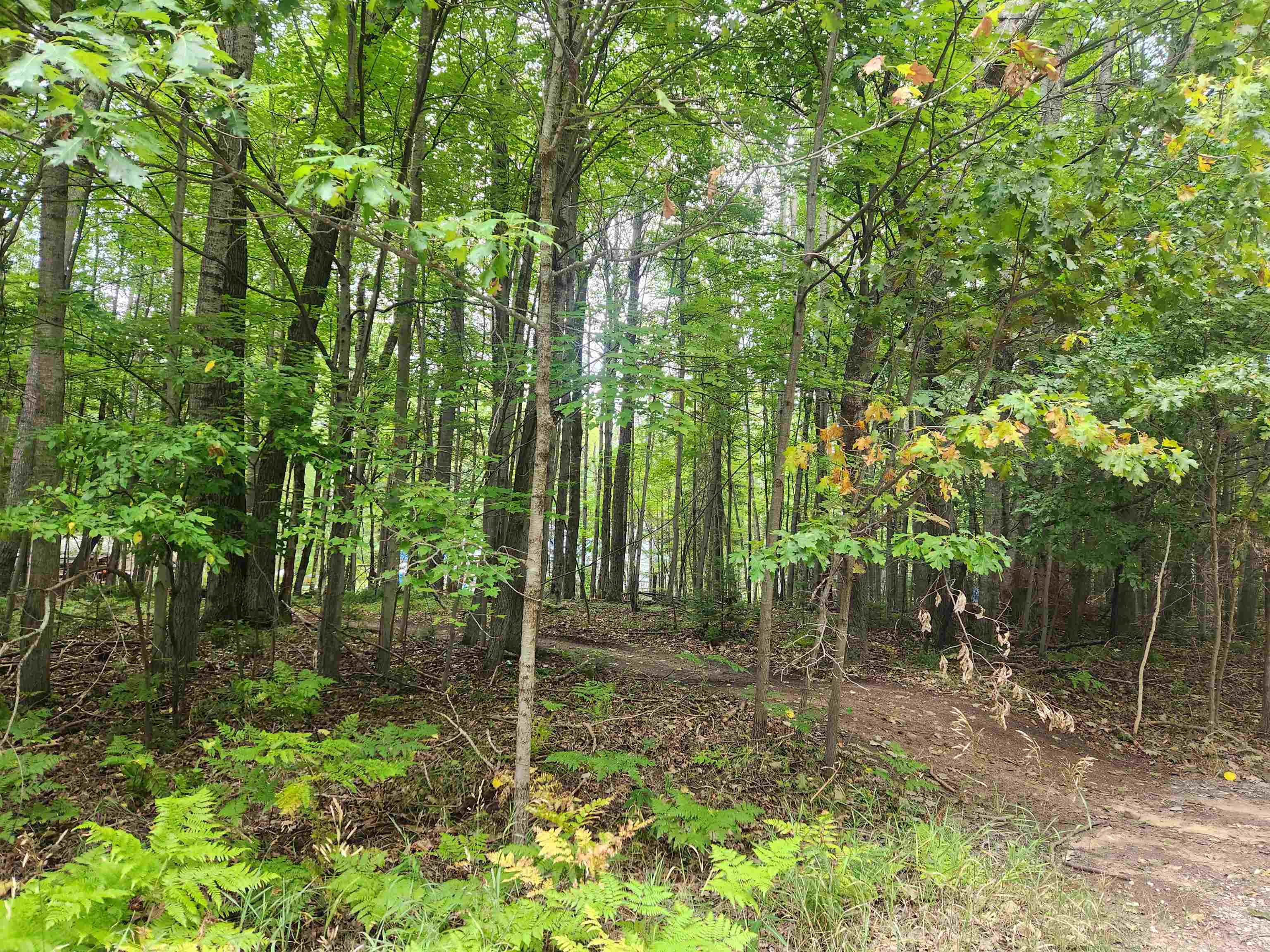 Homes for sale in Lake, MI | Lots 239, 240, 241 Havenwood Dr, Lake, MI 48632 | MLS# 50187432