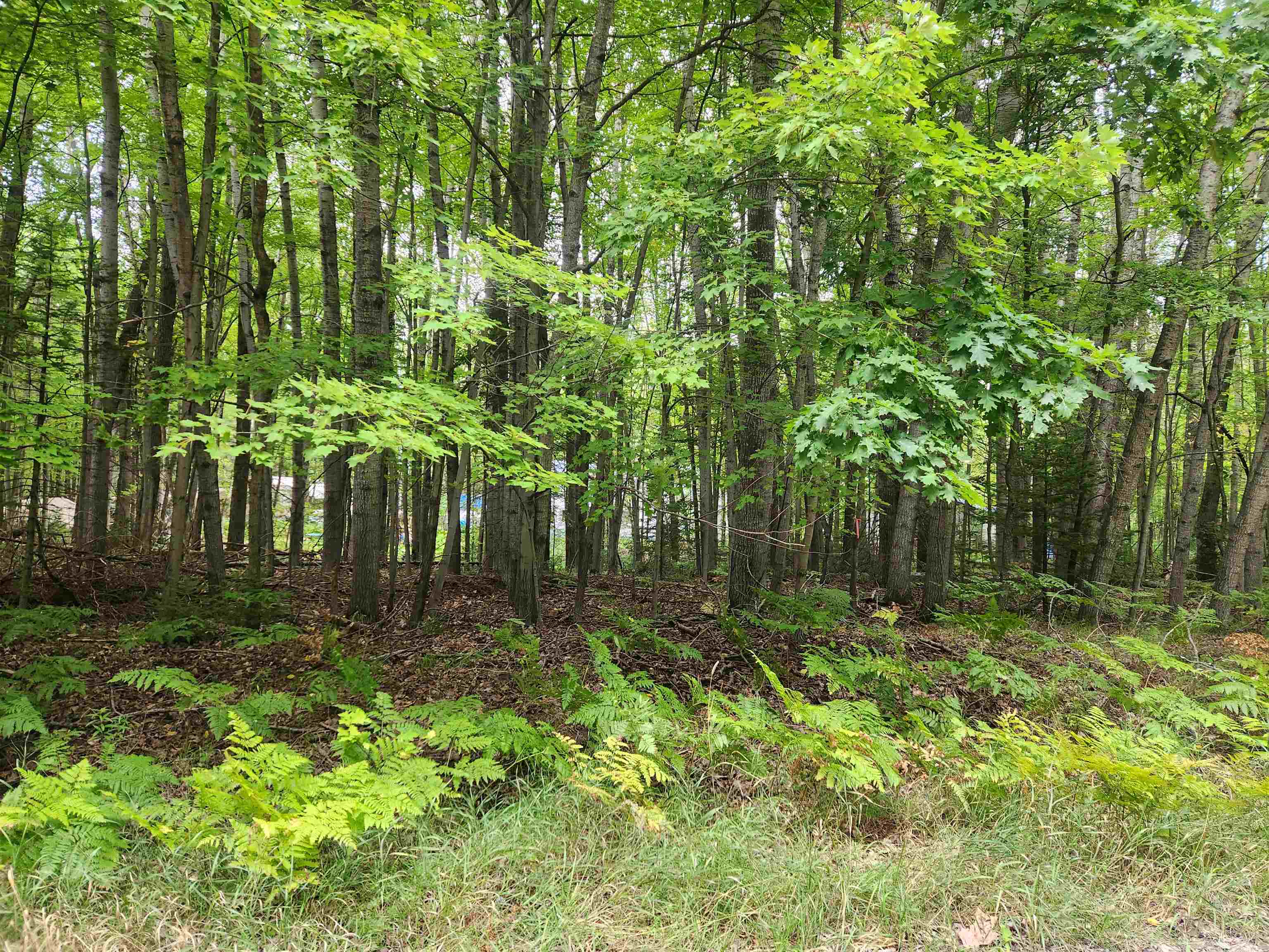 Homes for sale in Lake, MI | Lots 239, 240, 241 Havenwood Dr, Lake, MI 48632 | MLS# 50187432