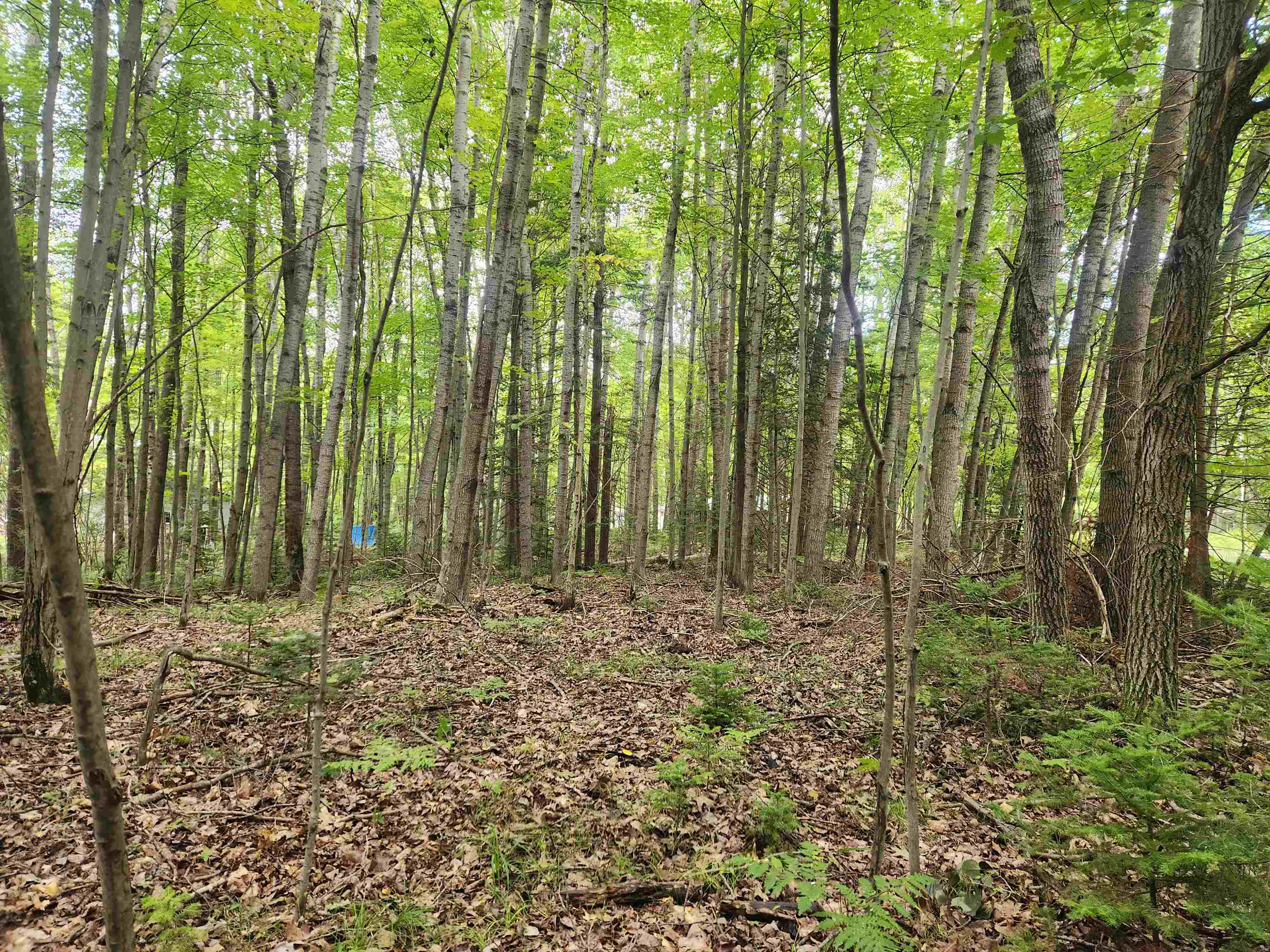 Homes for sale in Lake, MI | Lots 239, 240, 241 Havenwood Dr, Lake, MI 48632 | MLS# 50187432