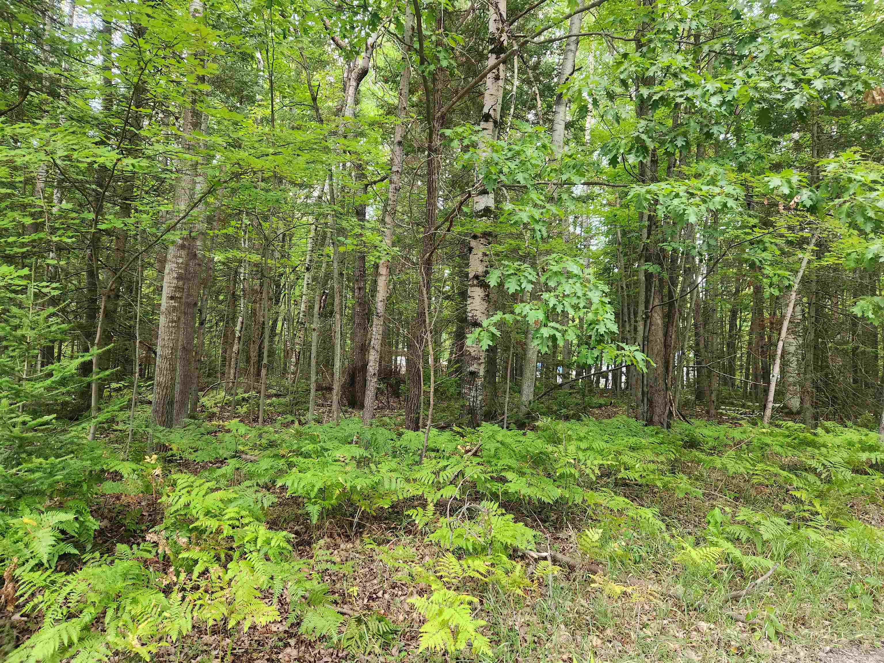 Homes for sale in Lake, MI | Lots 239, 240, 241 Havenwood Dr, Lake, MI 48632 | MLS# 50187432