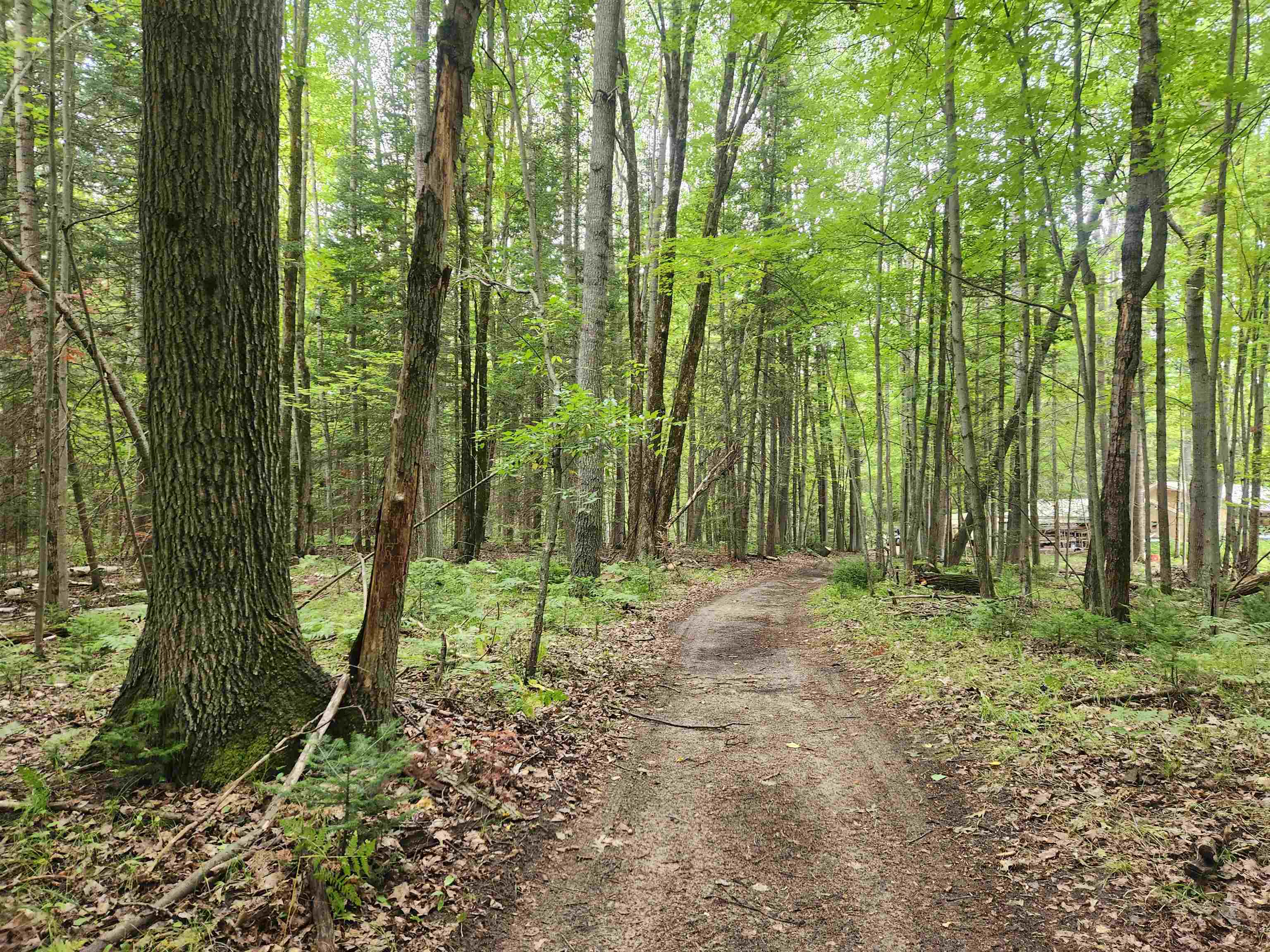 Homes for sale in Lake, MI | Lots 239, 240, 241 Havenwood Dr, Lake, MI 48632 | MLS# 50187432