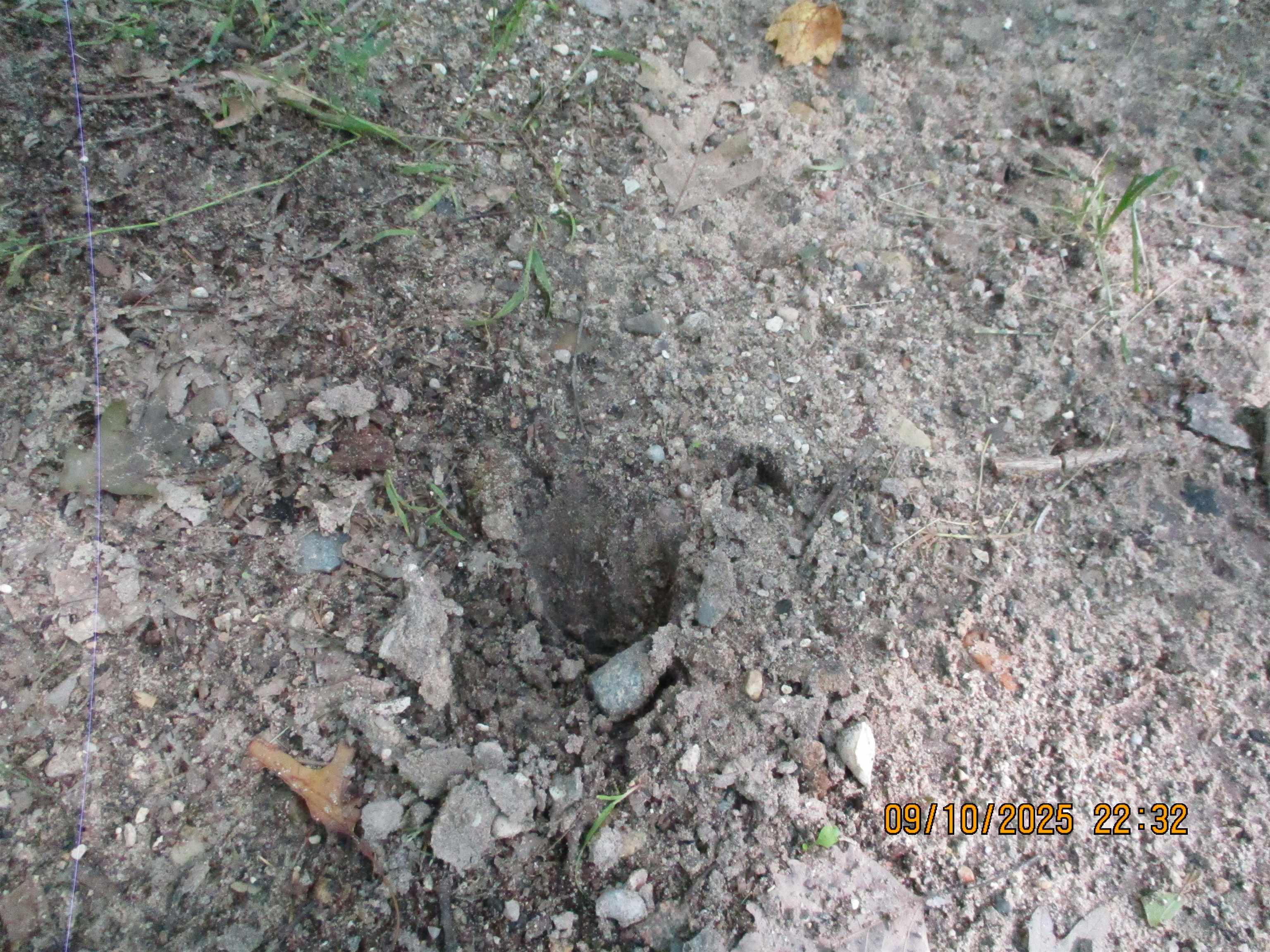 Homes for sale in Lake George, MI | 00 Firelane Trail Trail, Lake George, MI 48633 | MLS# 50187456