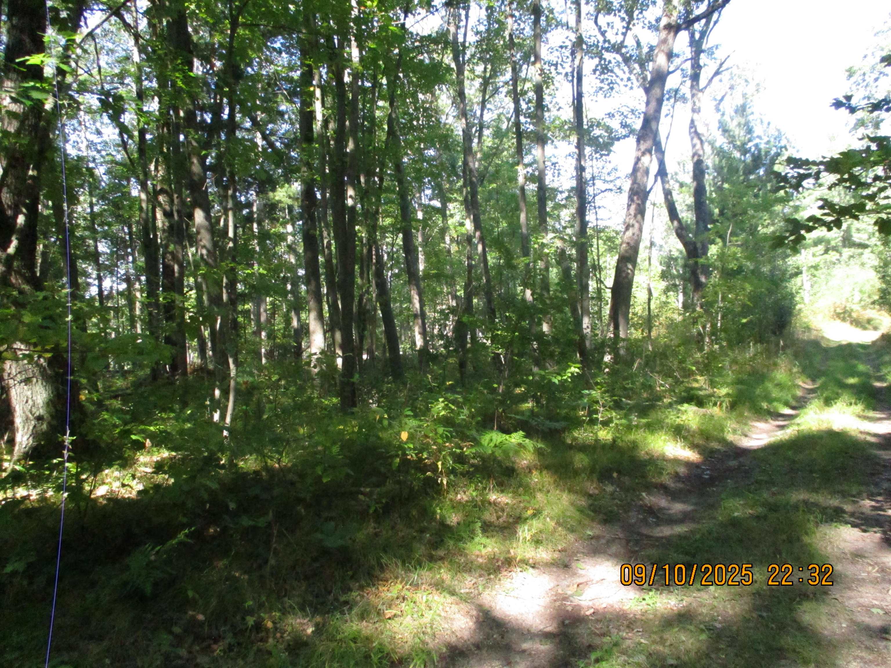 Homes for sale in Lake George, MI | 00 Firelane Trail Trail, Lake George, MI 48633 | MLS# 50187456