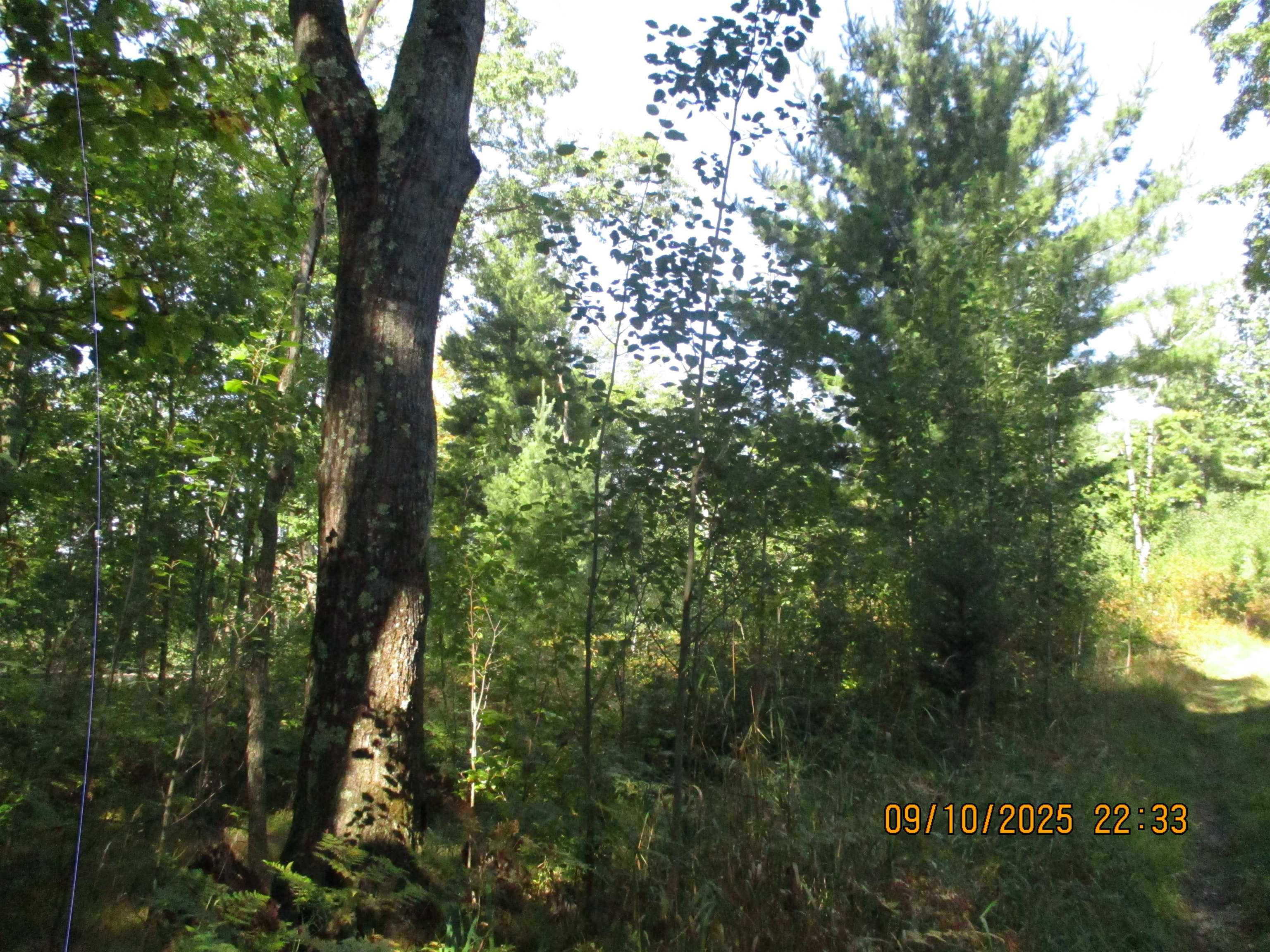 Homes for sale in Lake George, MI | 00 Firelane Trail Trail, Lake George, MI 48633 | MLS# 50187456