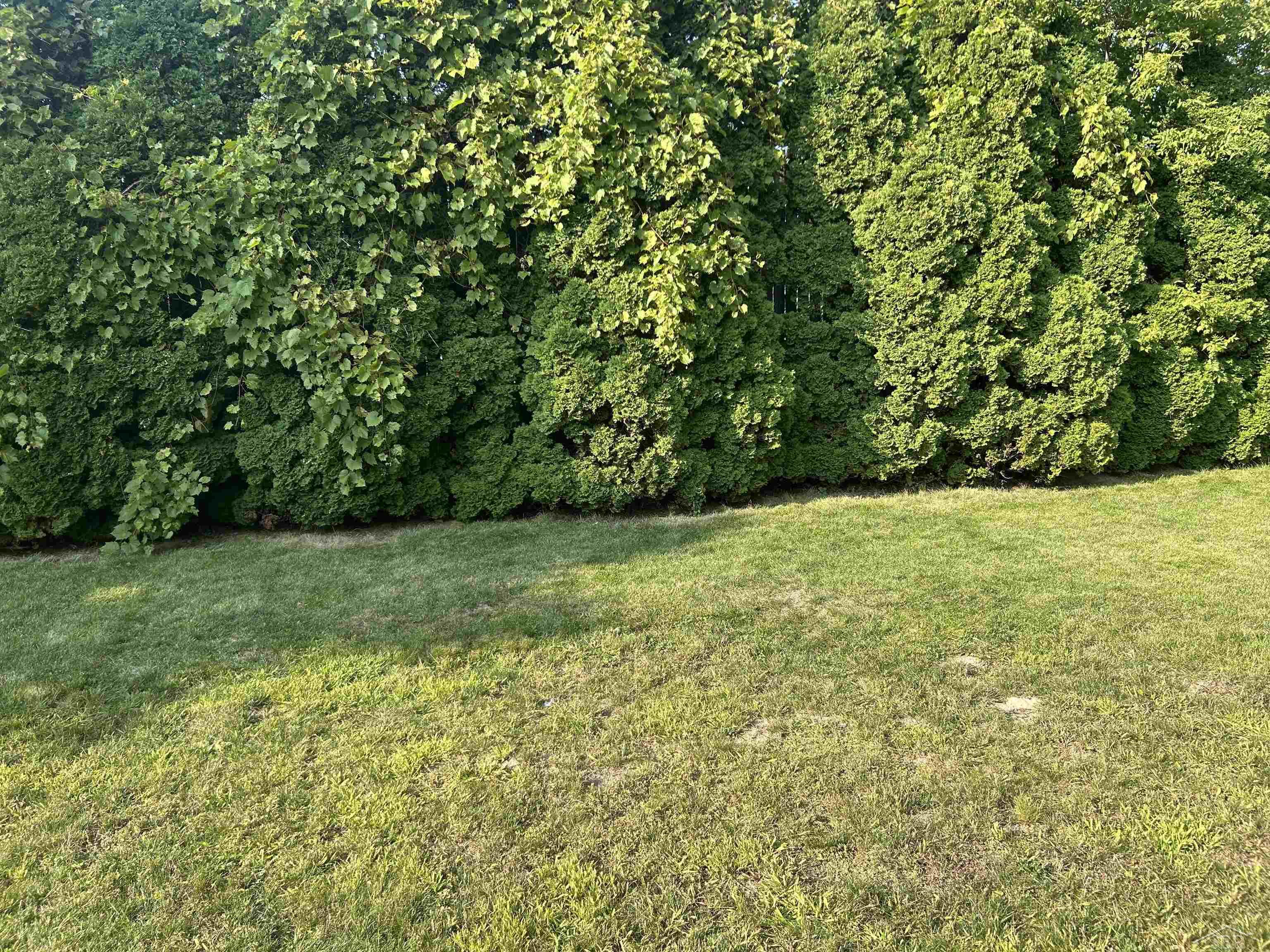 Homes for sale in Saginaw, MI | 1112 Asbury Ct, Saginaw, MI 48602 | MLS# 50187859