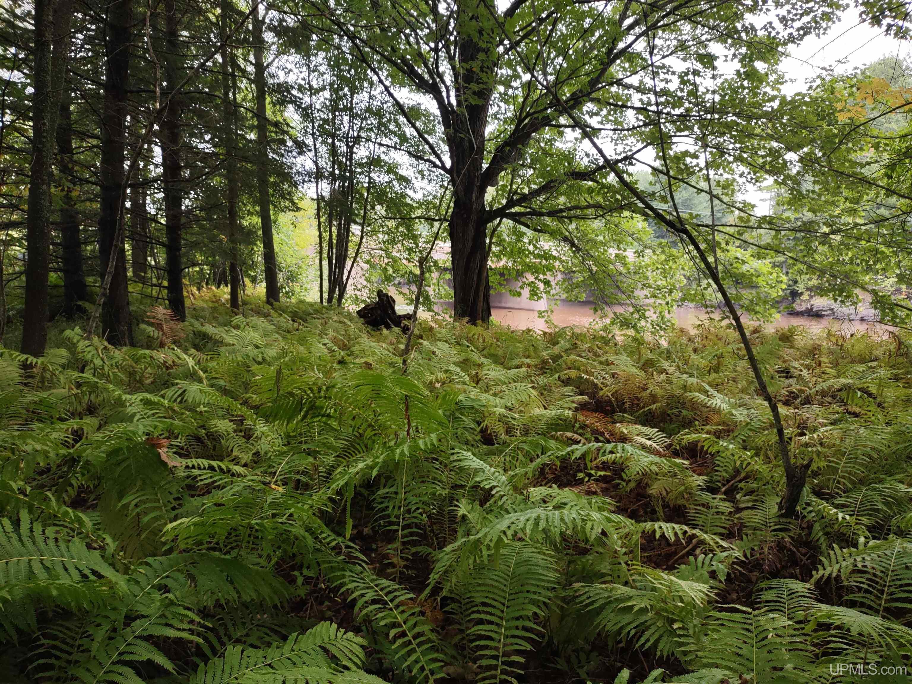 Homes for sale in Ontonagon, MI | 213 Beaser St, Ontonagon, MI 49953 | MLS# 50187997