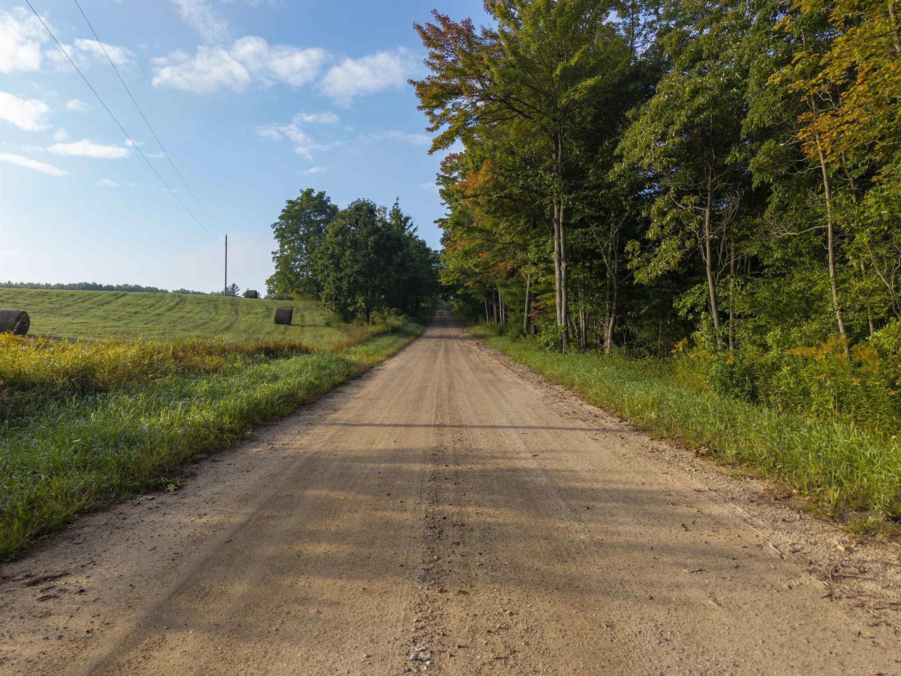 Homes for sale in Brethren, MI | 10227 Coates Hwy, Brethren, MI 49619 | MLS# 50188463