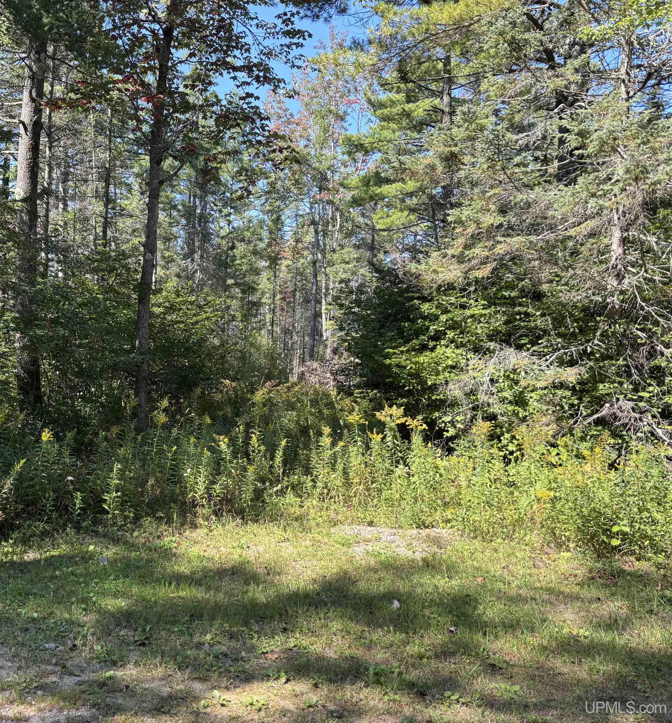 Homes for sale in Gould City, MI | Tbd Champ Elysees Rd, Gould City, MI 49838 | MLS# 50188510