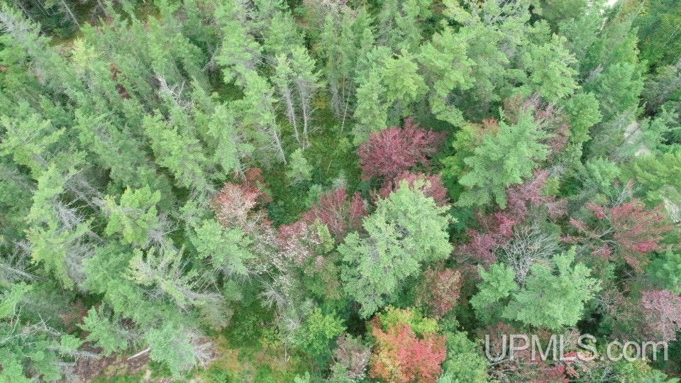 Homes for sale in Gould City, MI | Tbd Champ Elysees Rd, Gould City, MI 49838 | MLS# 50188510