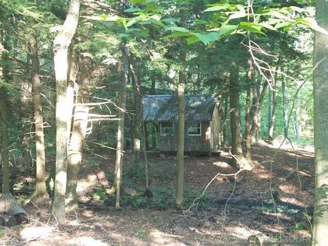 Homes for sale in Howard City, MI | 9455 E Buhler Dr, Howard City, MI 49329 | MLS# 50188553