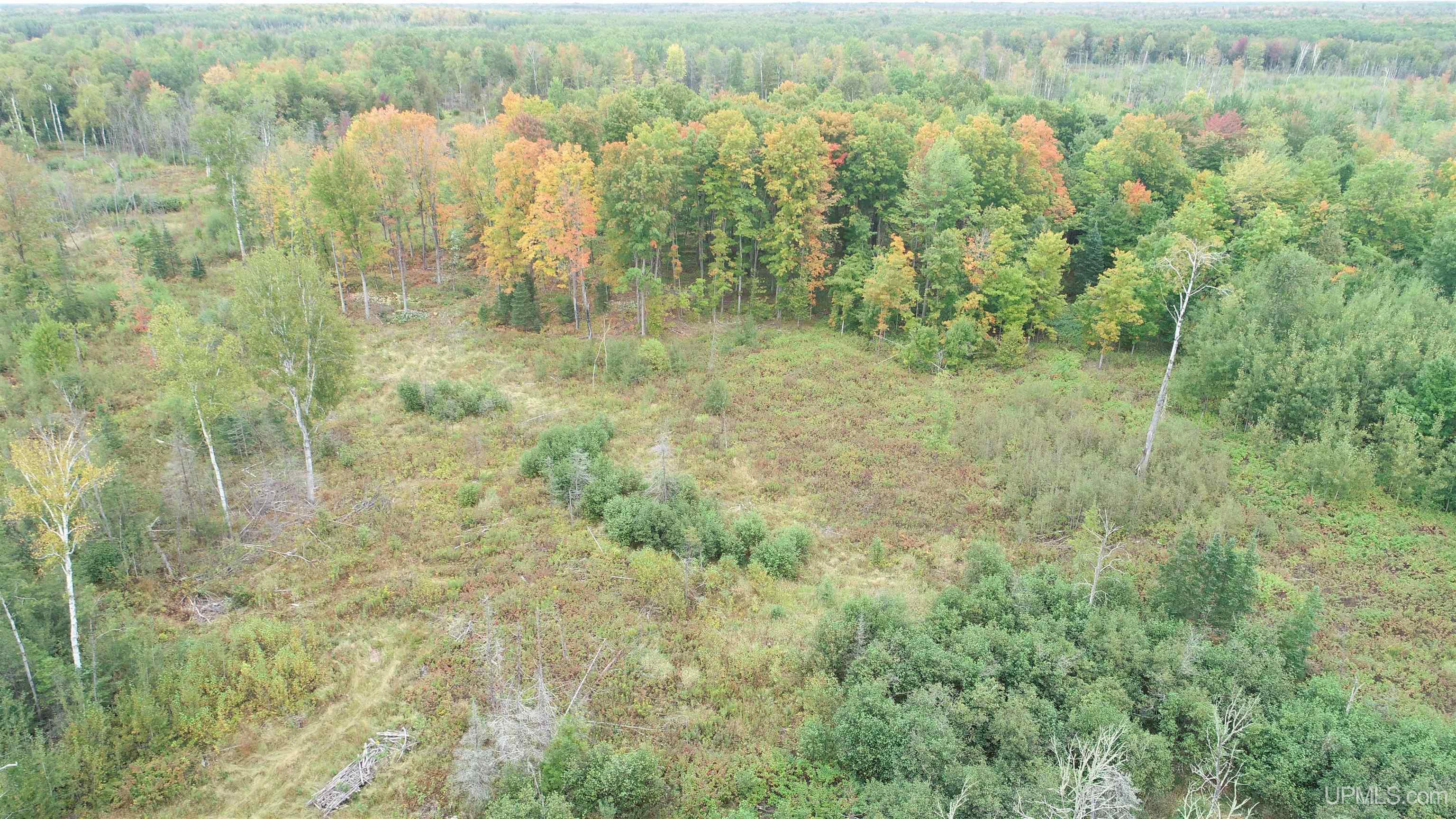 Homes for sale in Rock, MI | 3022 Trombly Rd, Rock, MI 49880 | MLS# 50188826