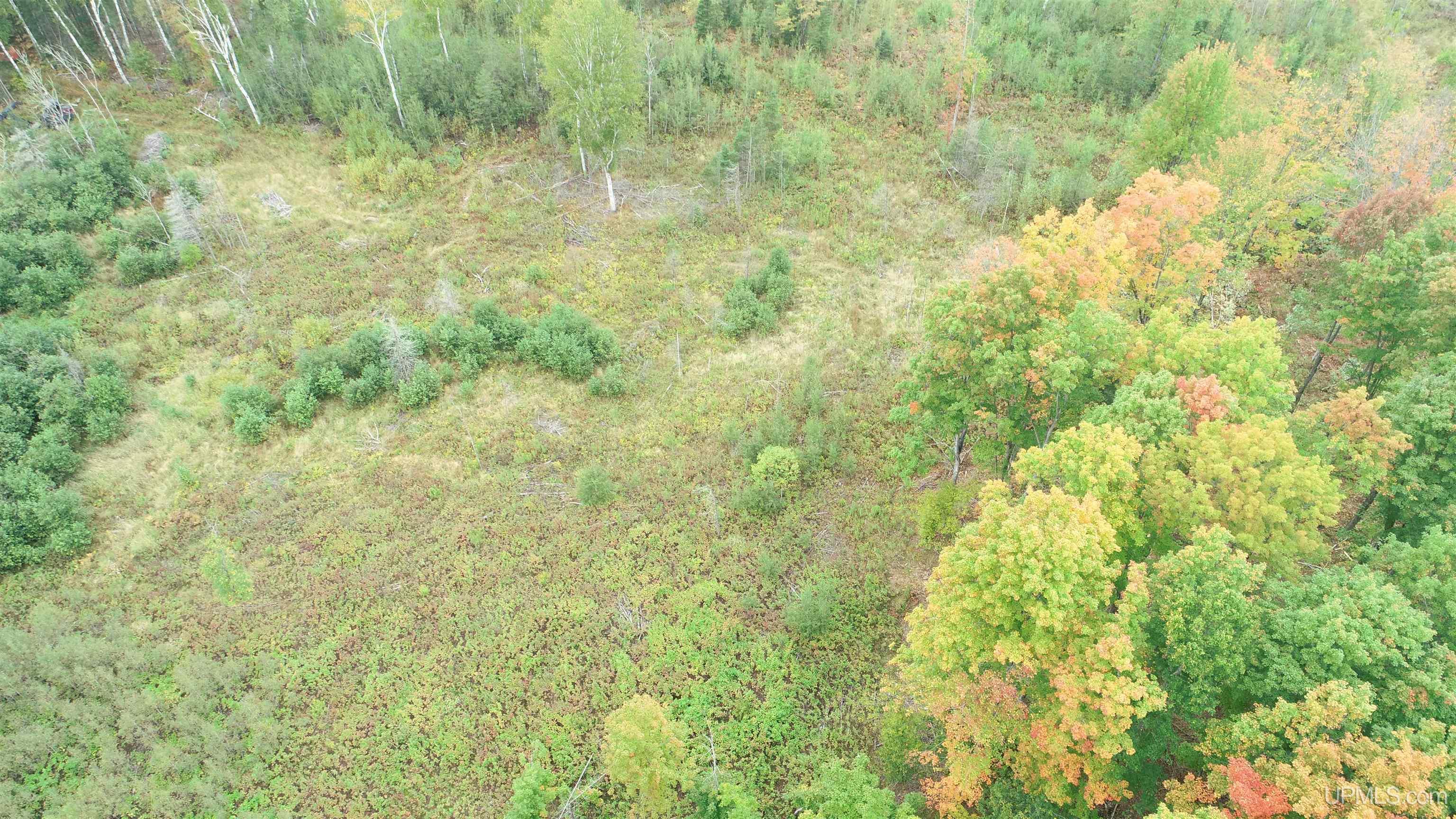 Homes for sale in Rock, MI | 3022 Trombly Rd, Rock, MI 49880 | MLS# 50188826