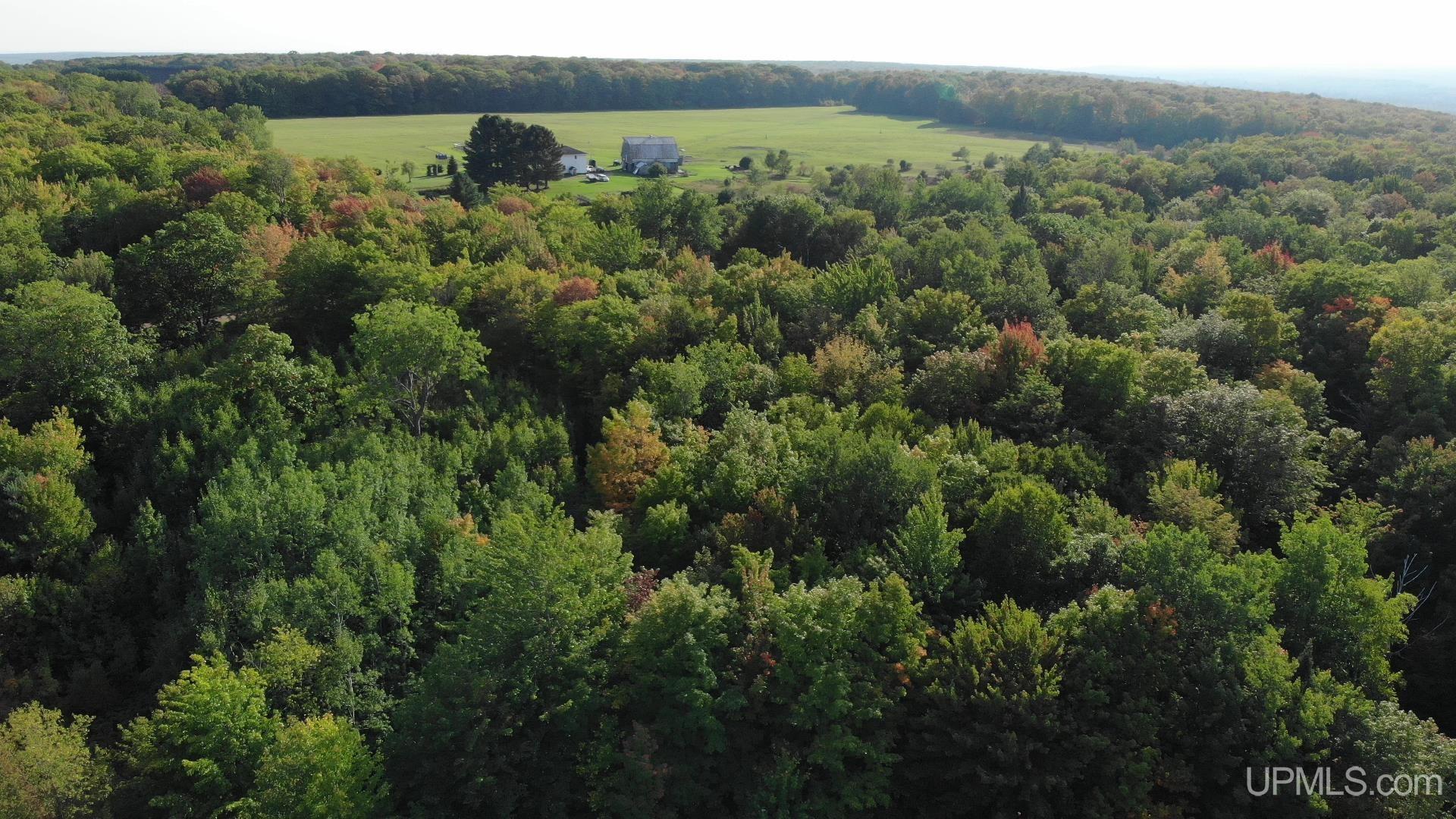 Homes for sale in Chassell, MI | Tbda Worham Rd, Chassell, MI 49916 | MLS# 50189047