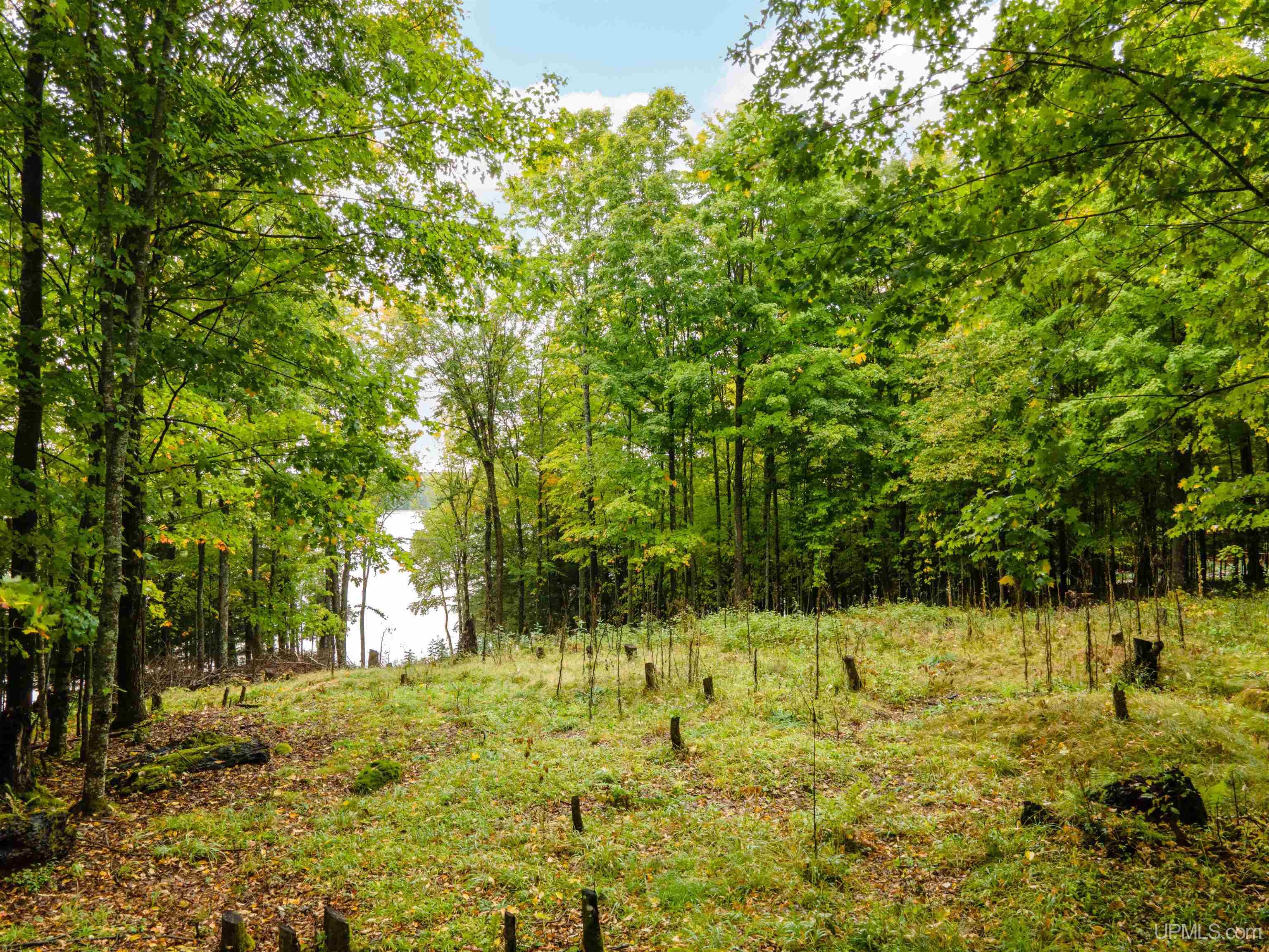 Homes for sale in Iron River, MI | Tbd Wildwood Dr, Iron River, MI 49935 | MLS# 50189225