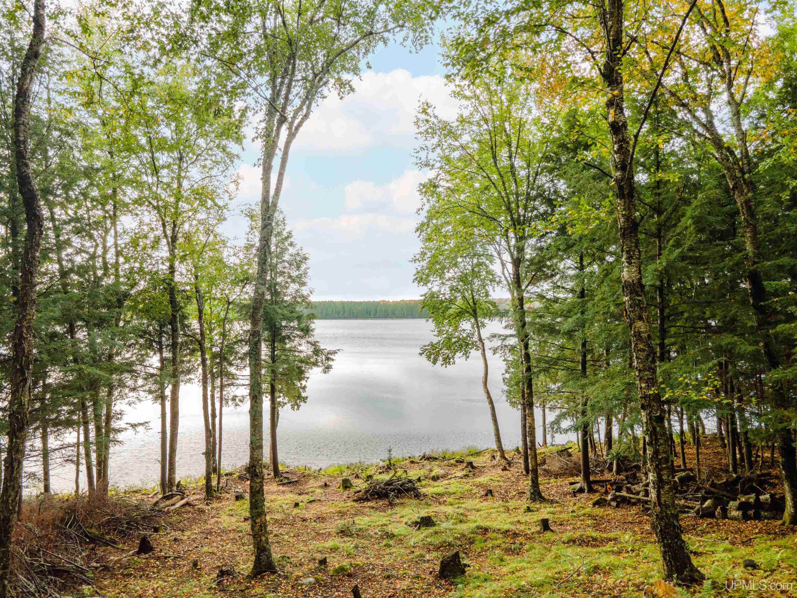 Homes for sale in Iron River, MI | Tbd Wildwood Dr, Iron River, MI 49935 | MLS# 50189225