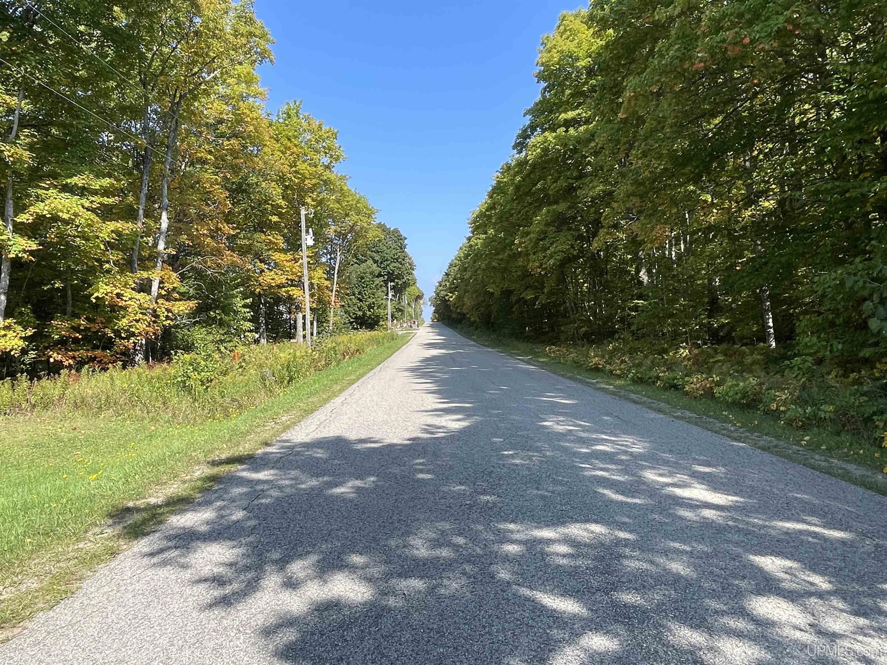 Homes for sale in Rapid River, MI | 9787 County 513 T Rd, Rapid River, MI 49878 | MLS# 50189462