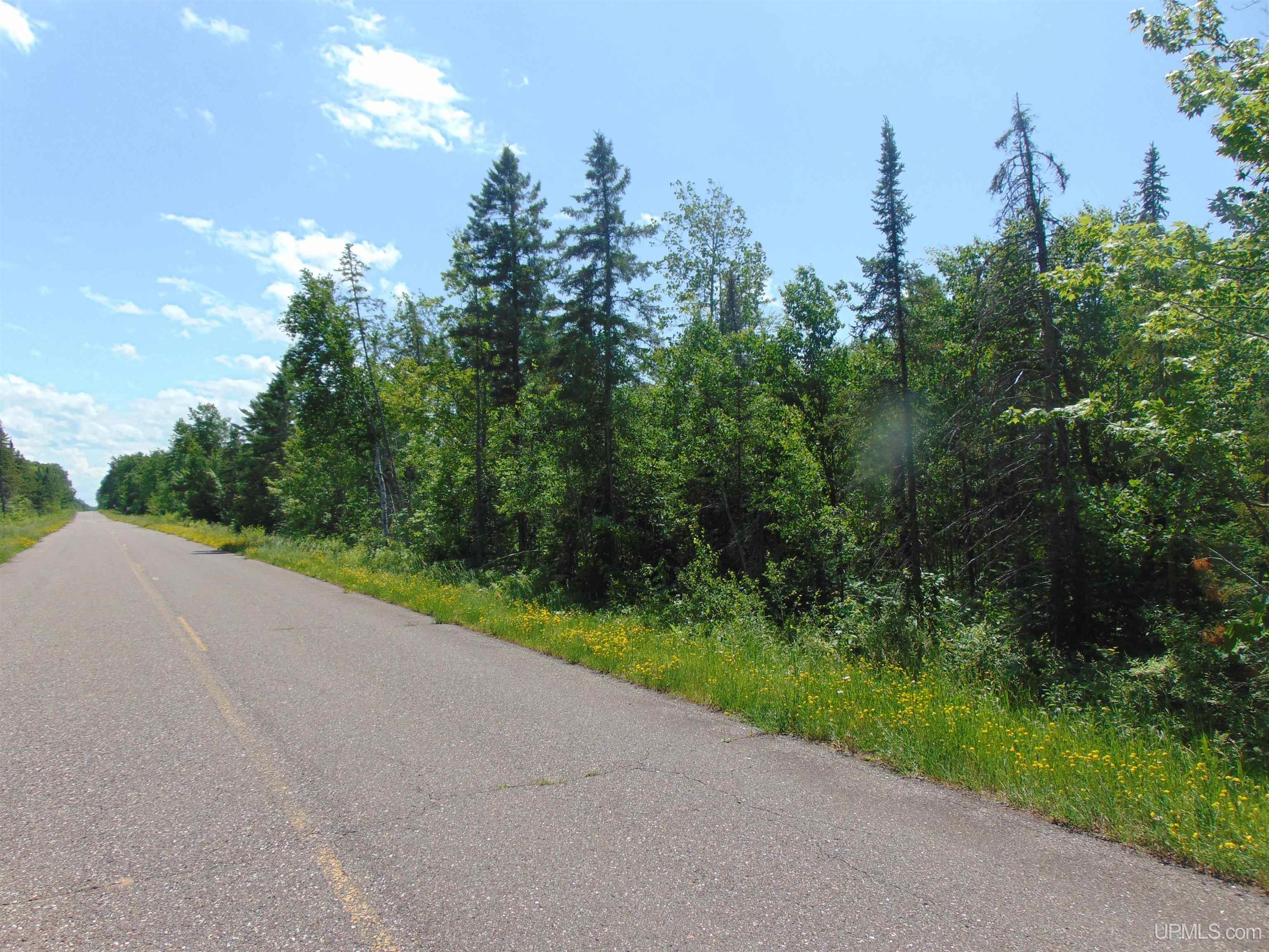 Homes for sale in Ewen, MI | Tbd 2 Norwich Rd, Ewen, MI 49925 | MLS# 50189569