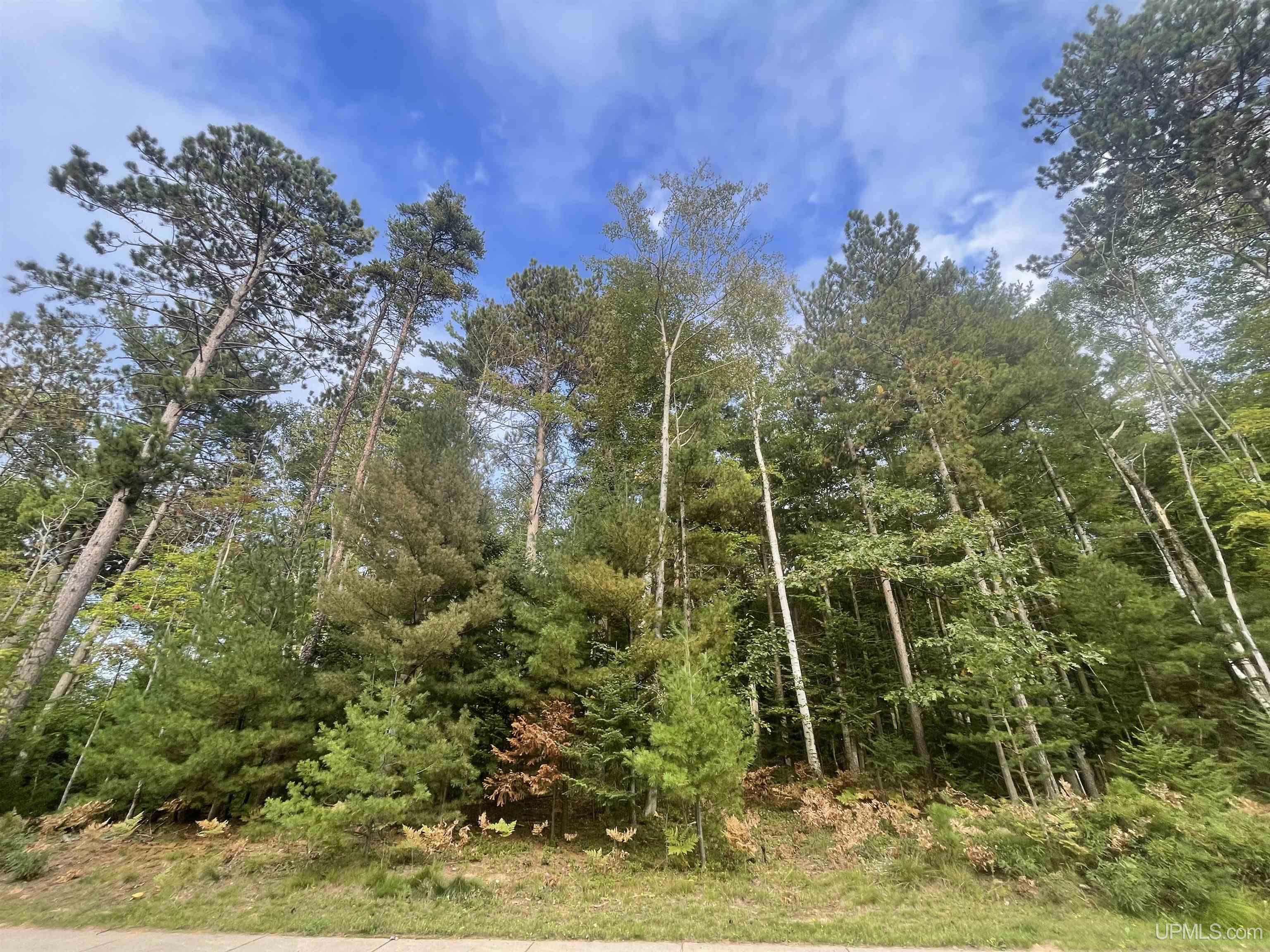 Homes for sale in Marquette, MI | 1600 Center Ave, Marquette, MI 49855 | MLS# 50189624