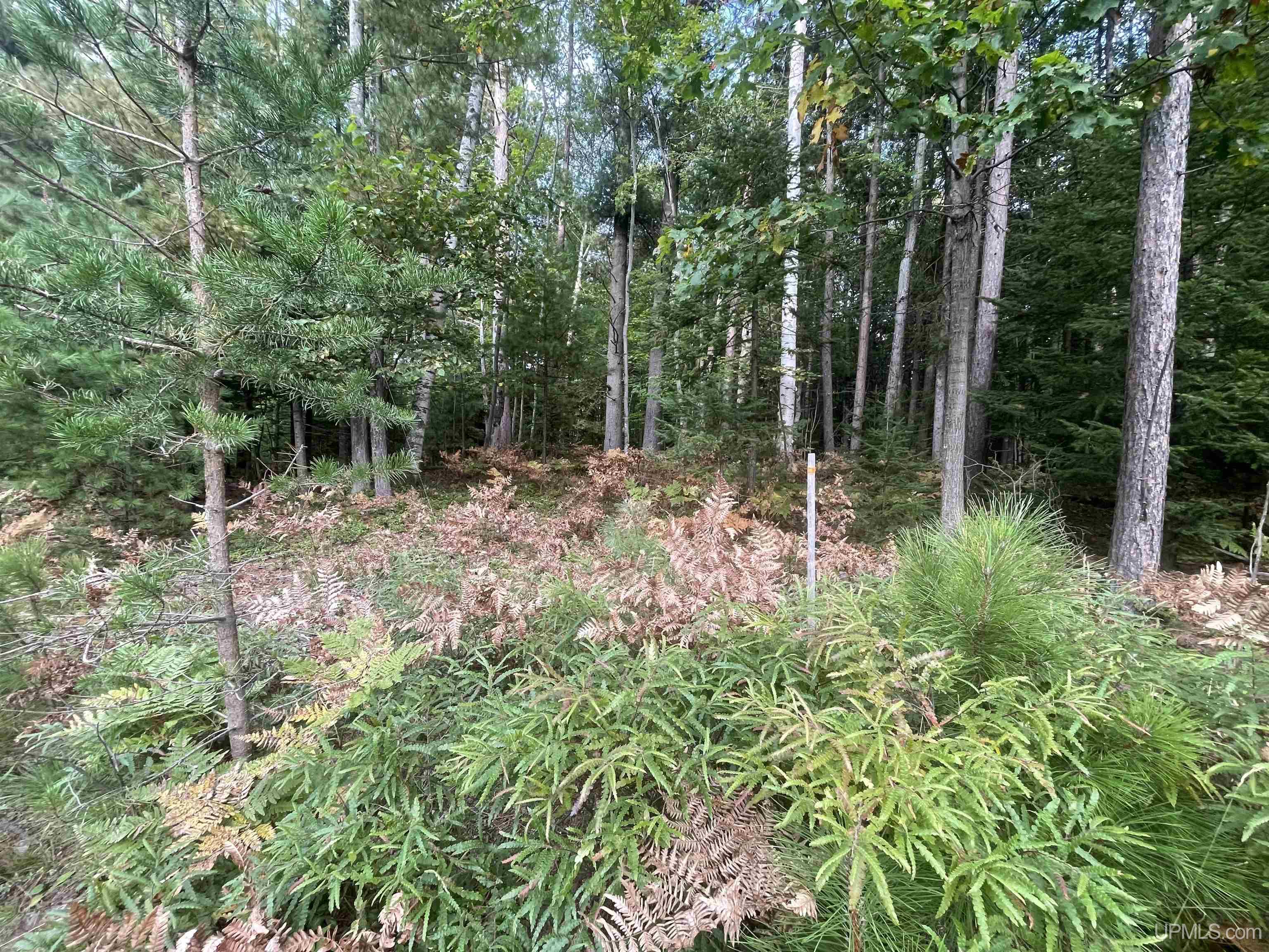 Homes for sale in Marquette, MI | 1600 Center Ave, Marquette, MI 49855 | MLS# 50189624