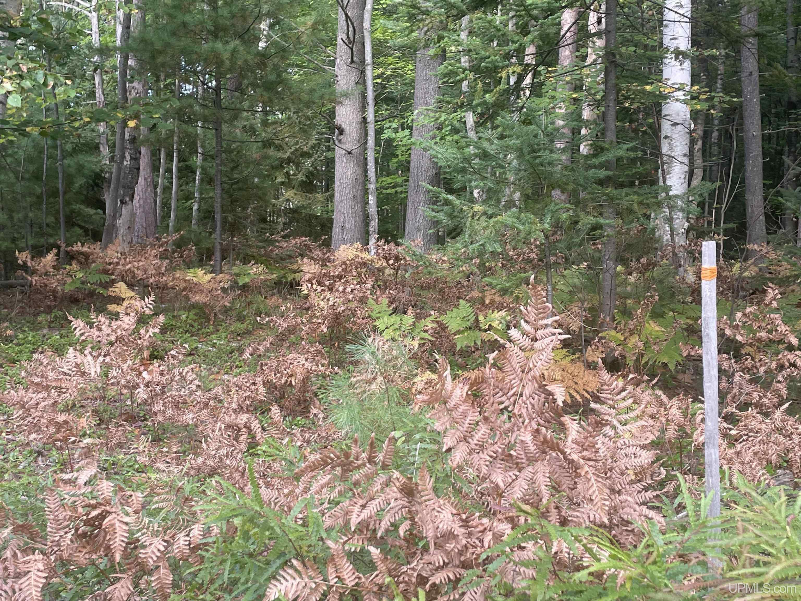 Homes for sale in Marquette, MI | 1600 Center Ave, Marquette, MI 49855 | MLS# 50189624