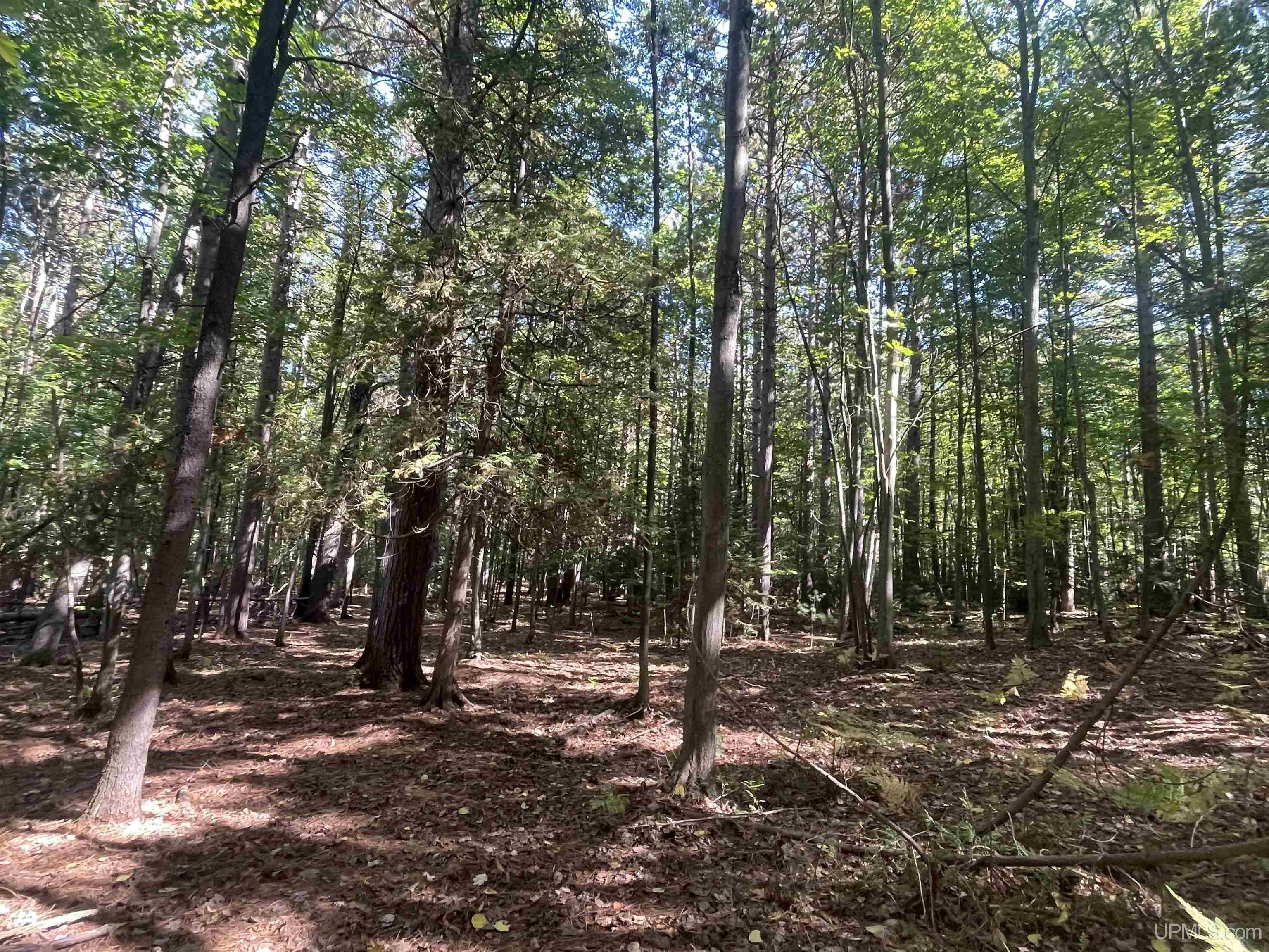 Homes for sale in Marquette, MI | 1600 Center Ave, Marquette, MI 49855 | MLS# 50189624