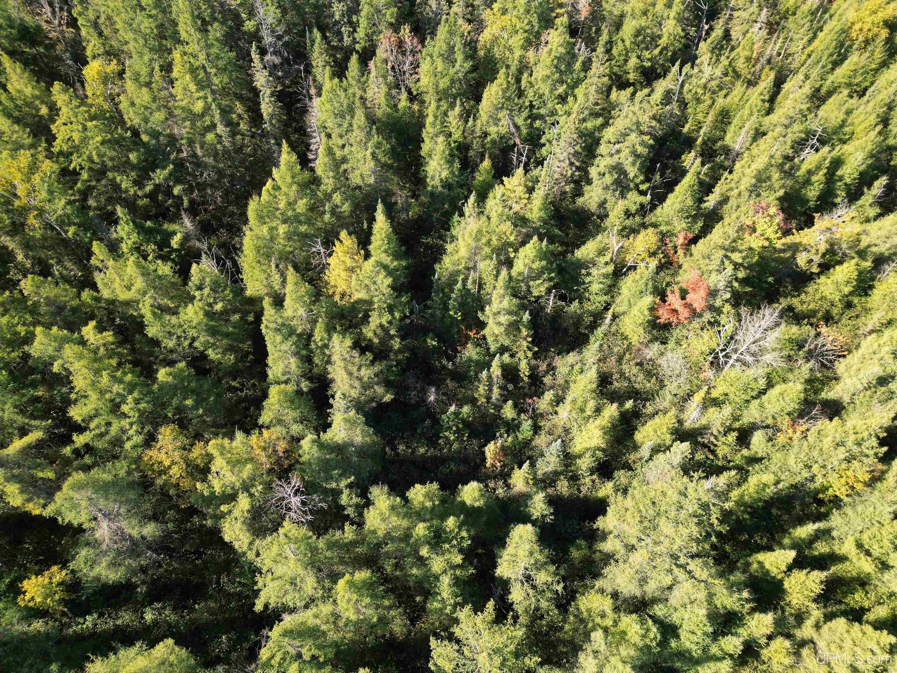 Homes for sale in Gould City, MI | Tbd Champ Elysees Rd, Gould City, MI 49838 | MLS# 50189731