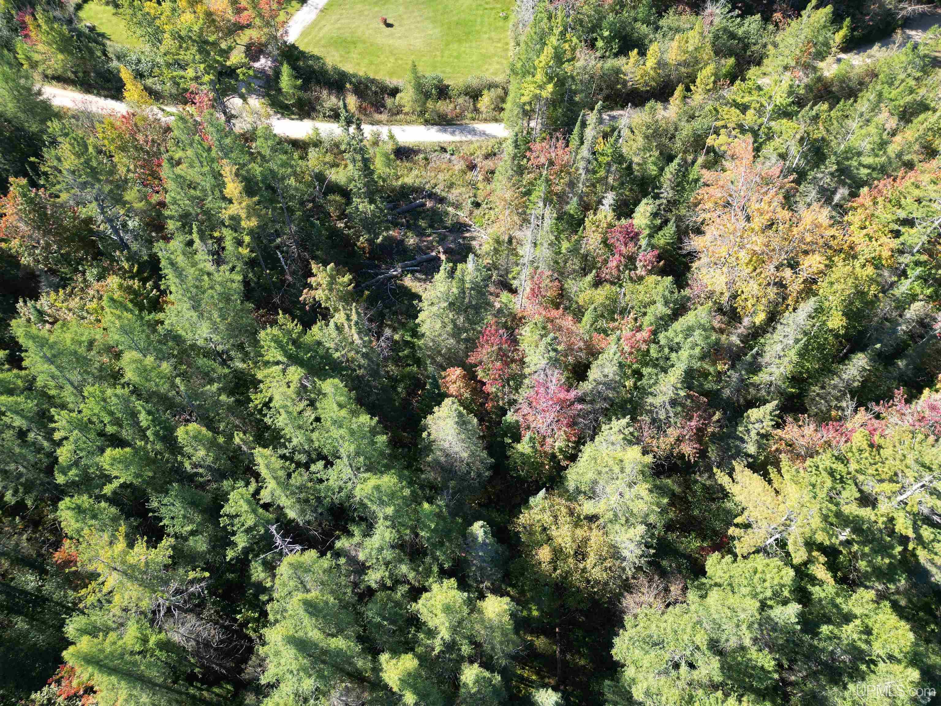 Homes for sale in Gould City, MI | Tbd Champ Elysees Rd, Gould City, MI 49838 | MLS# 50189731