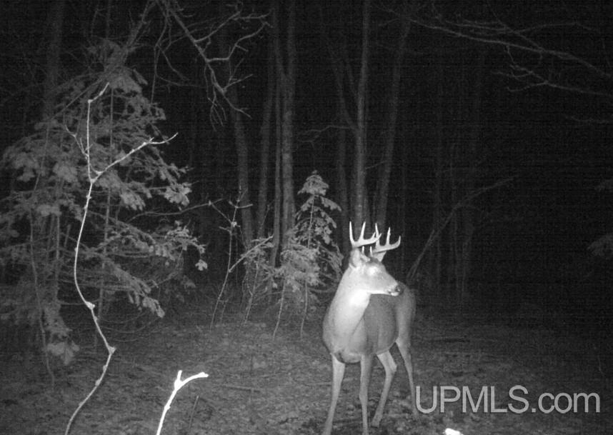 Homes for sale in Gould City, MI | Tbd Champ Elysees Rd, Gould City, MI 49838 | MLS# 50189731