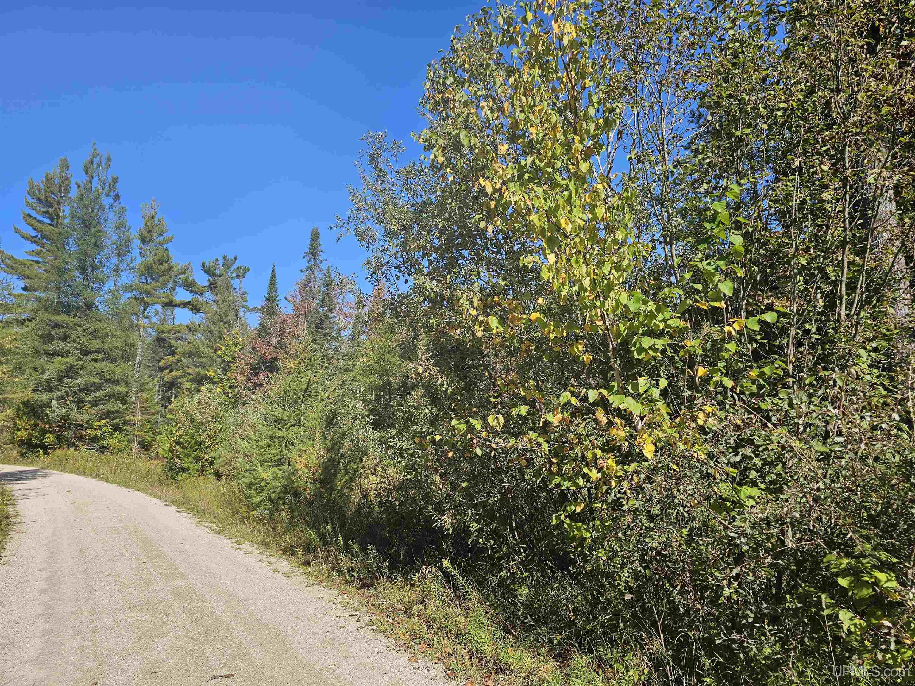 Homes for sale in Gould City, MI | Tbd Champ Elysees Rd, Gould City, MI 49838 | MLS# 50189731