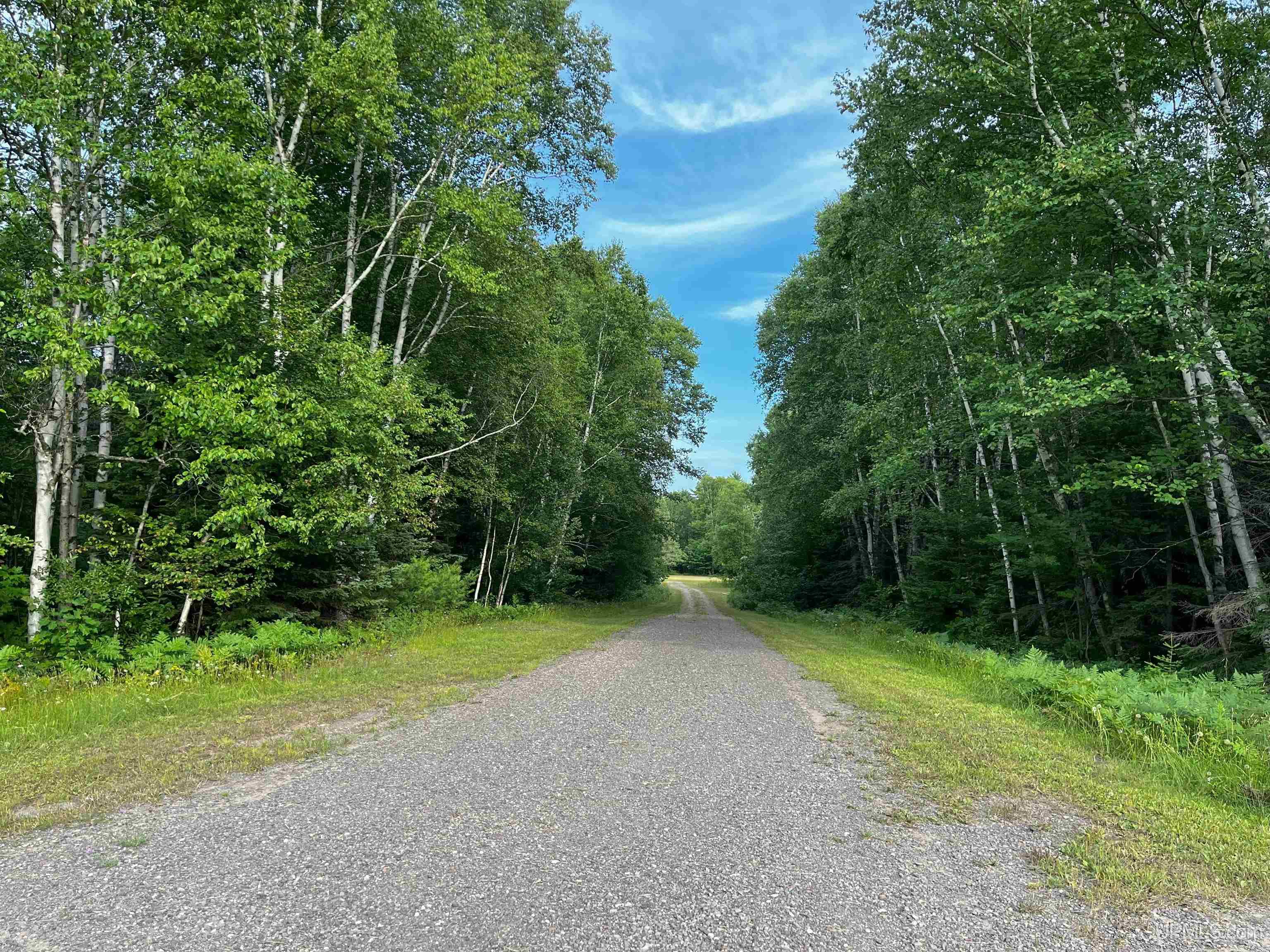 Homes for sale in Calumet, MI | 54866 Tecumseh Rd, Calumet, MI 49913 | MLS# 50189742