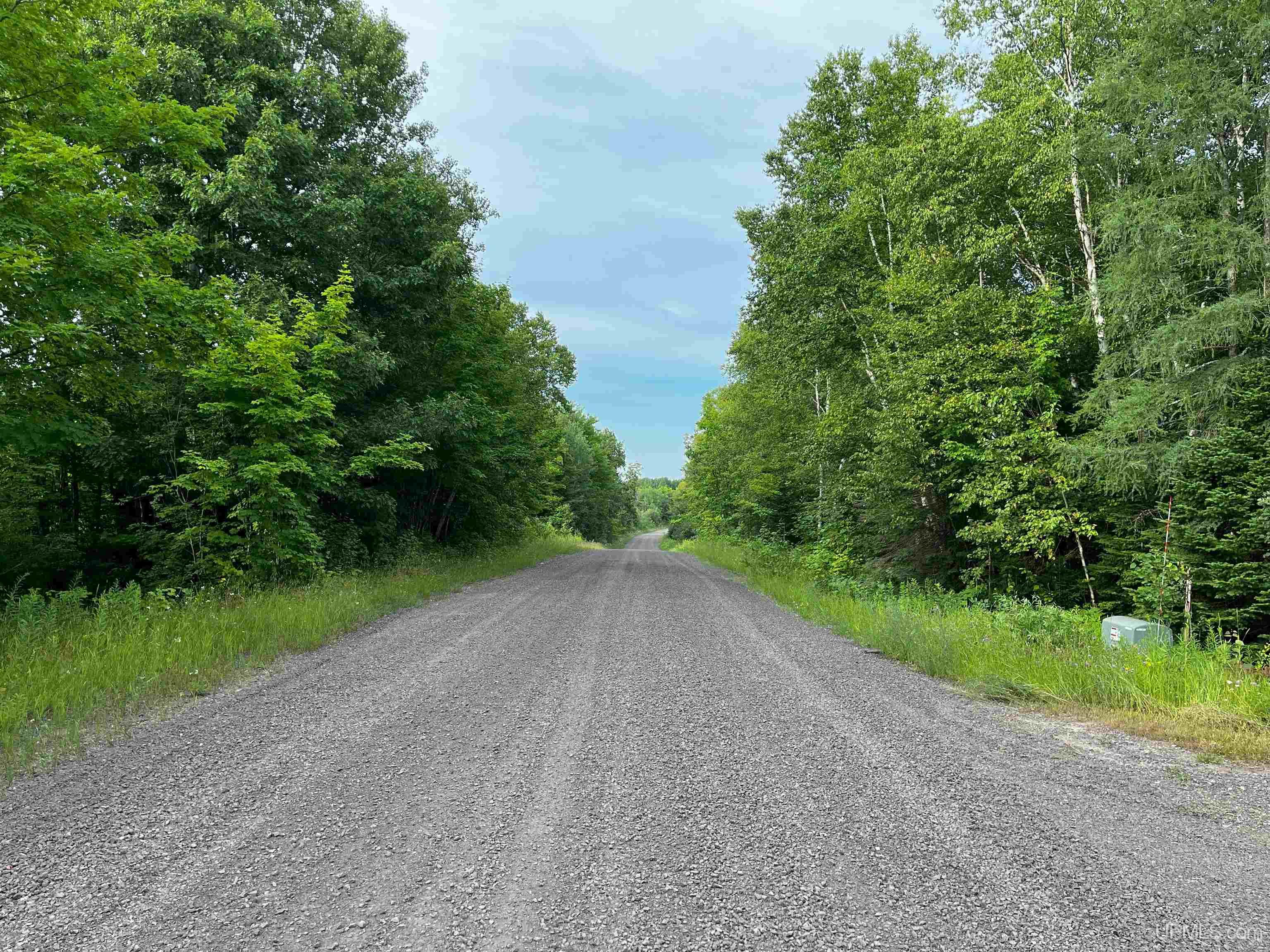 Homes for sale in Calumet, MI | 54866 Tecumseh Rd, Calumet, MI 49913 | MLS# 50189742