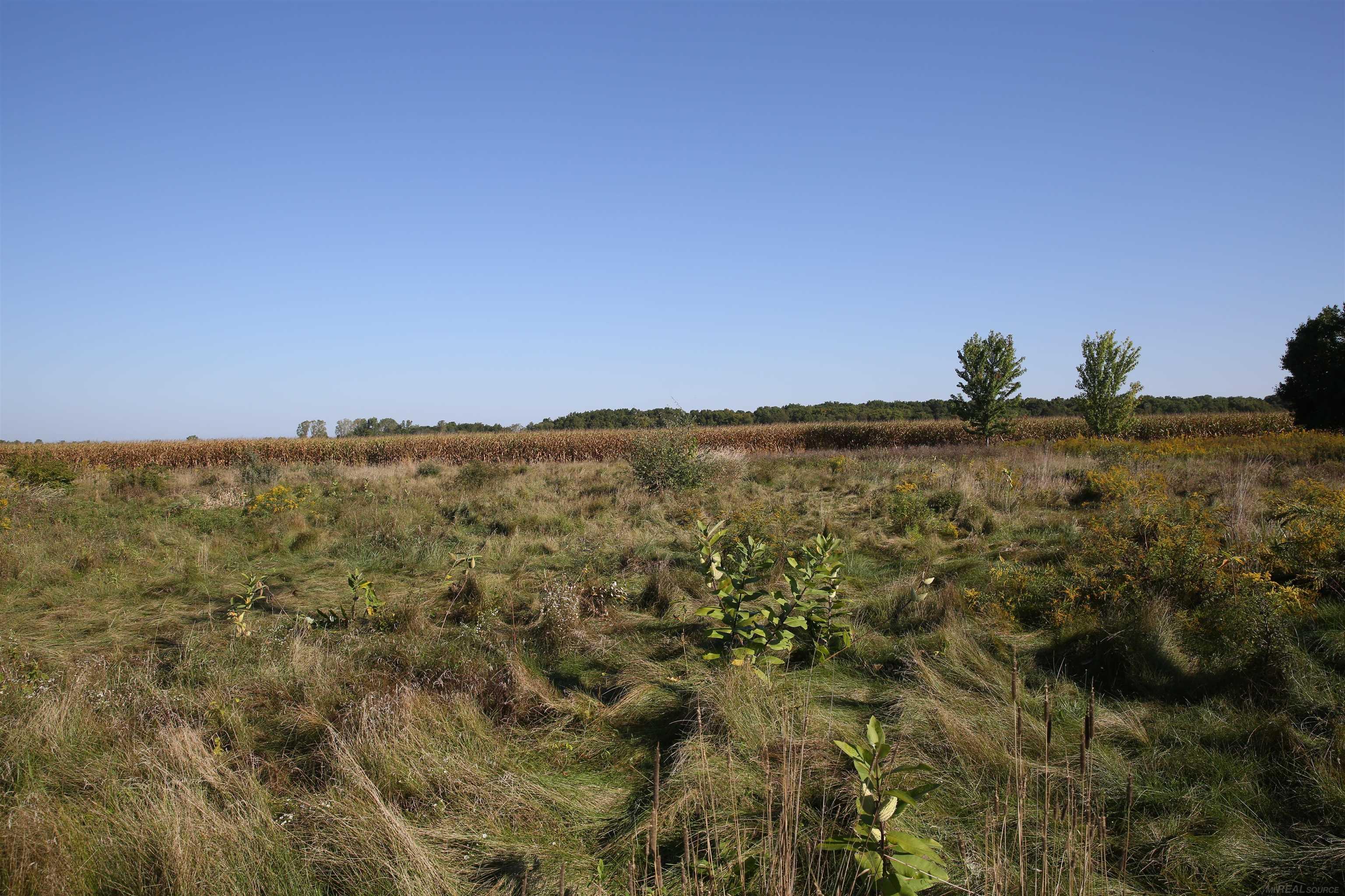 Homes for sale in Grand Ledge, MI | 00 E Grand Ledge Hwy, Grand Ledge, MI 48837 | MLS# 50190027