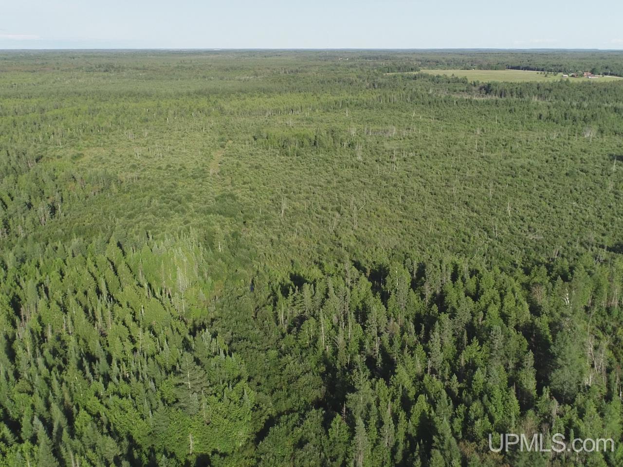 Homes for sale in Gulliver, MI | 412 Acres River Rd, Gulliver, MI 49840 | MLS# 50190040